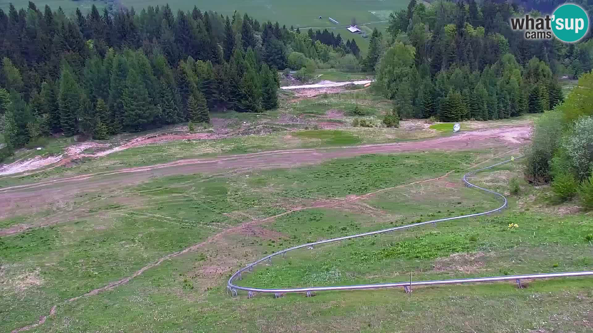 Vitranc Kranjska Gora webcam | VITRANC 1 stazione superiore