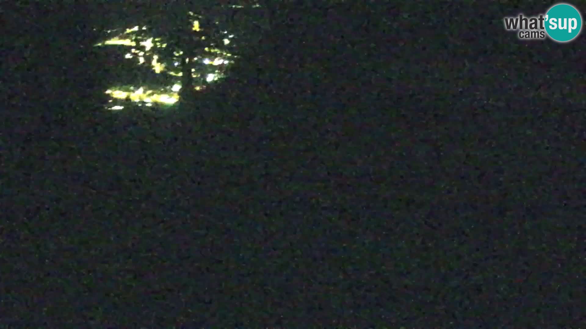 Vitranc Kranjska Gora webcam | VITRANC 1 stazione superiore