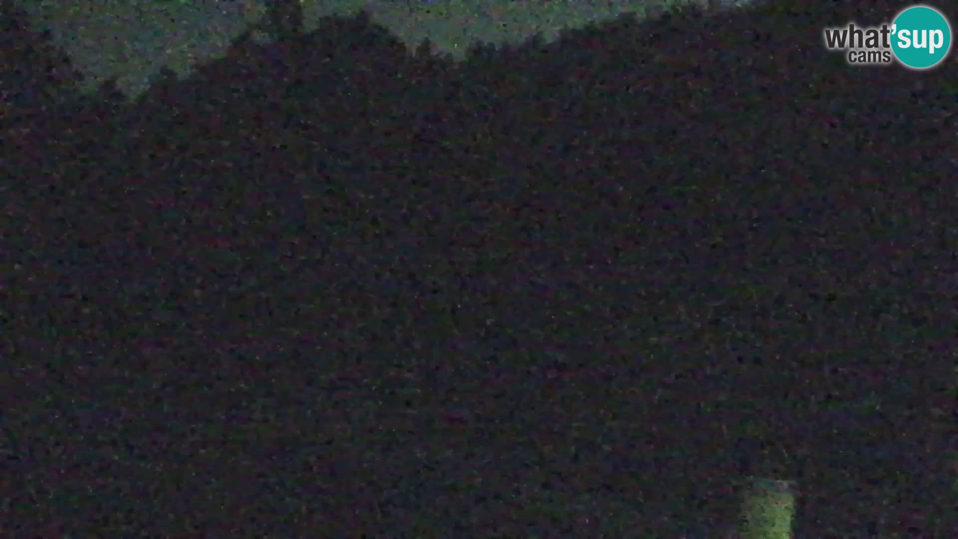 Vitranc Kranjska Gora webcam | VITRANC 1 stazione superiore