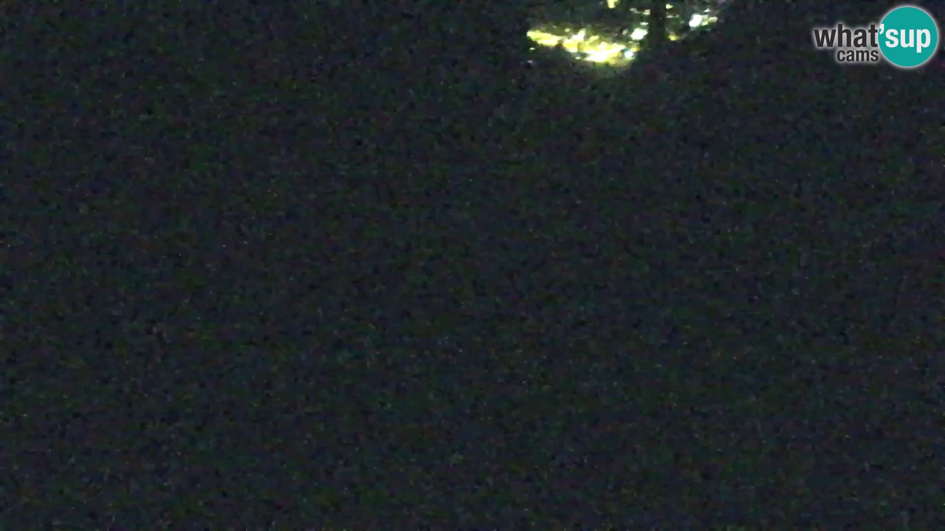 Vitranc Kranjska Gora webcam | VITRANC 1 stazione superiore
