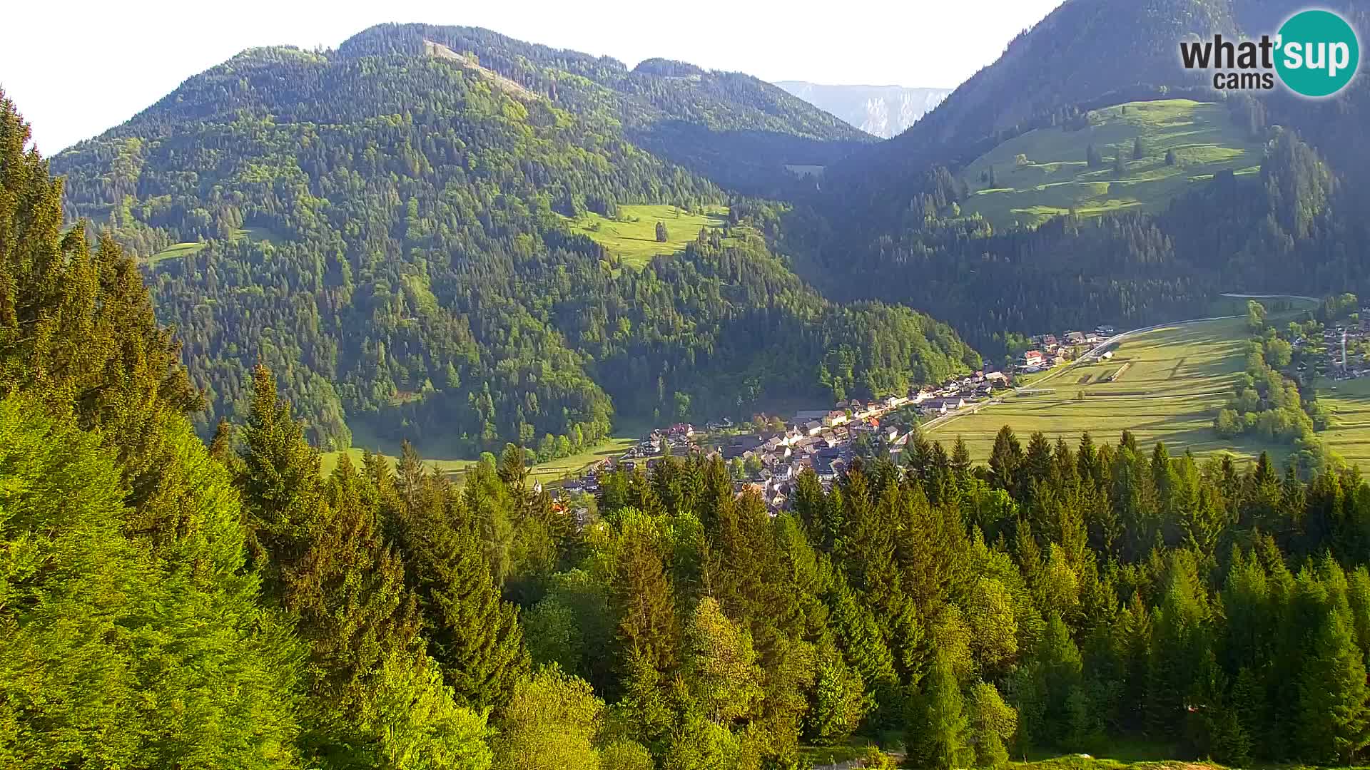 Vitranc Kranjska Gora webcam | VITRANC 1 stazione superiore