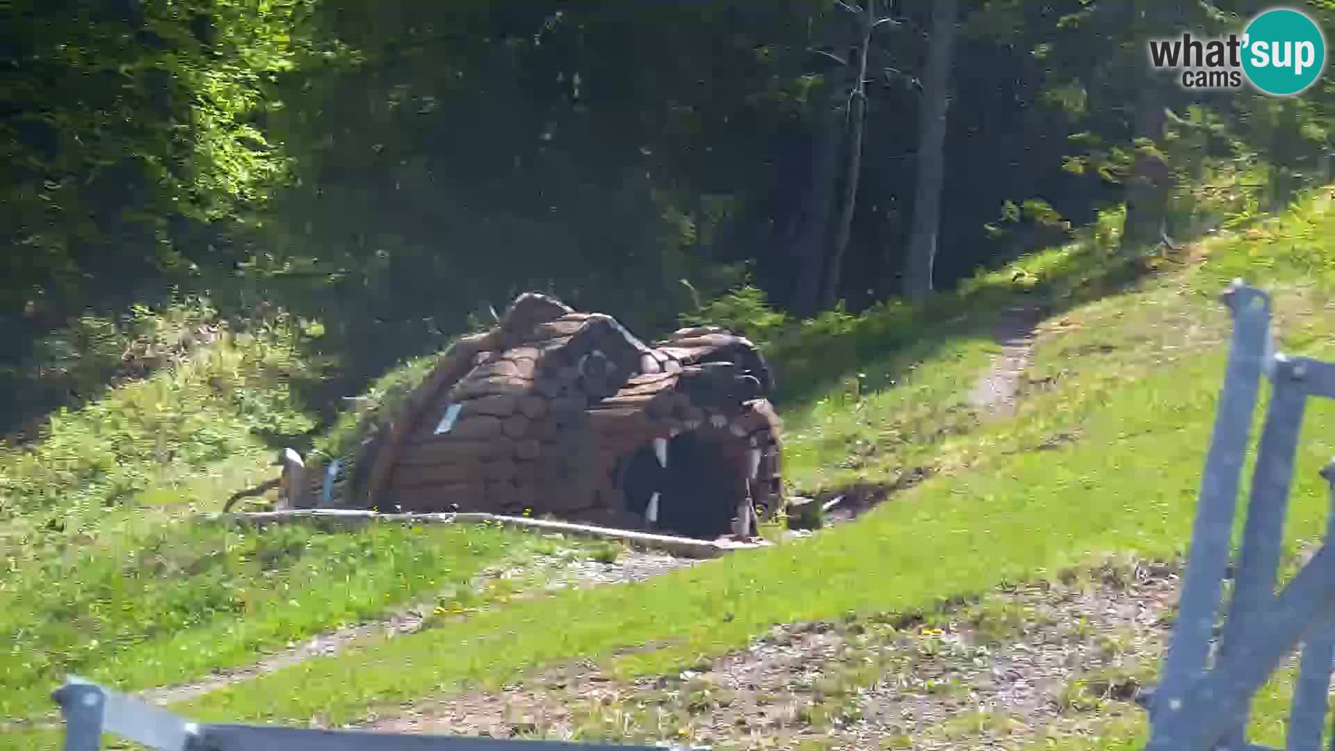 RTC Kranjska Gora – Vitranc