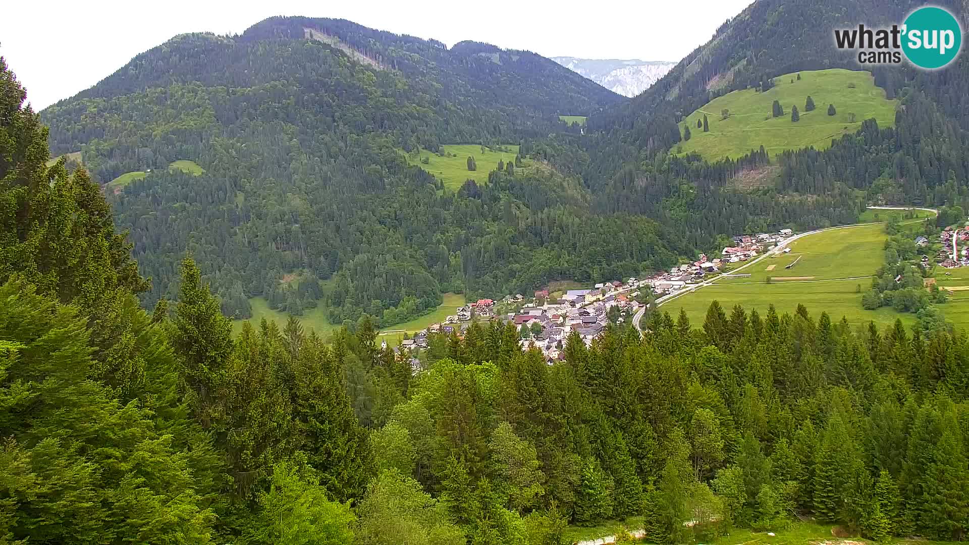 Vitranc Kranjska Gora webcam | VITRANC 1 stazione superiore