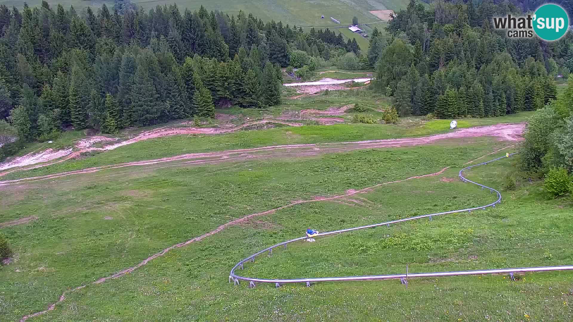 Vitranc Kranjska Gora webcam | VITRANC 1 stazione superiore