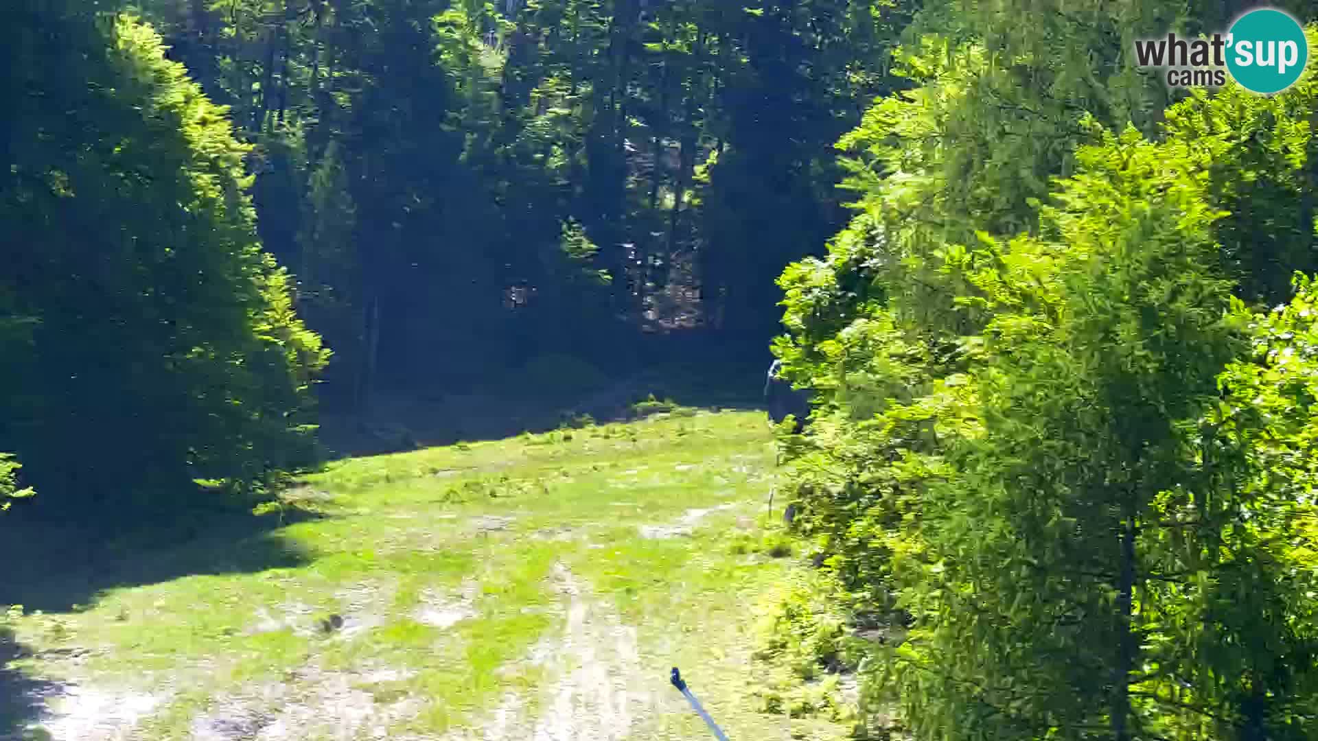 Ski Resort Kranjska Gora | VITRANC 1 upper station