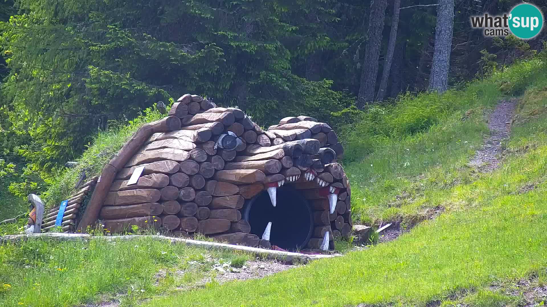 Kranjska Gora web kamera Vitranc | VITRANC 1 gornja postaja