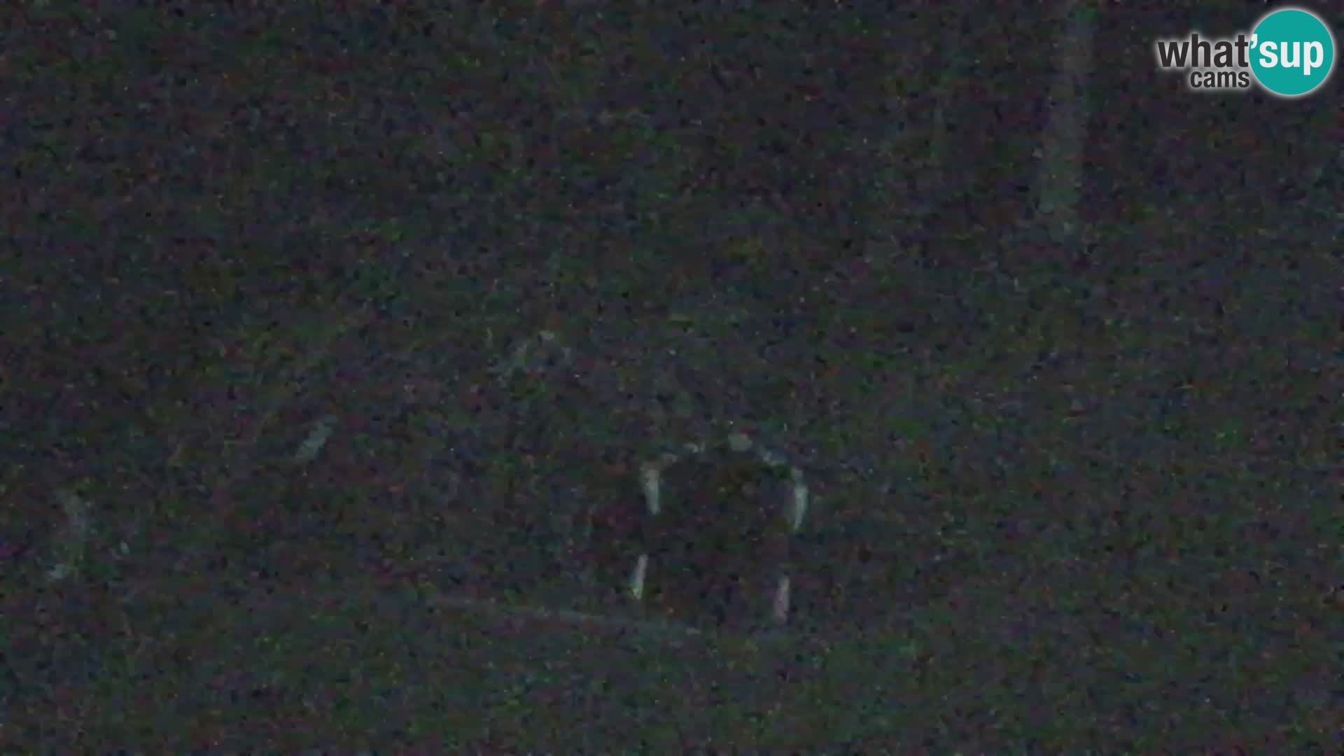 Kranjska Gora webcam VITRANC 1 | obere Station