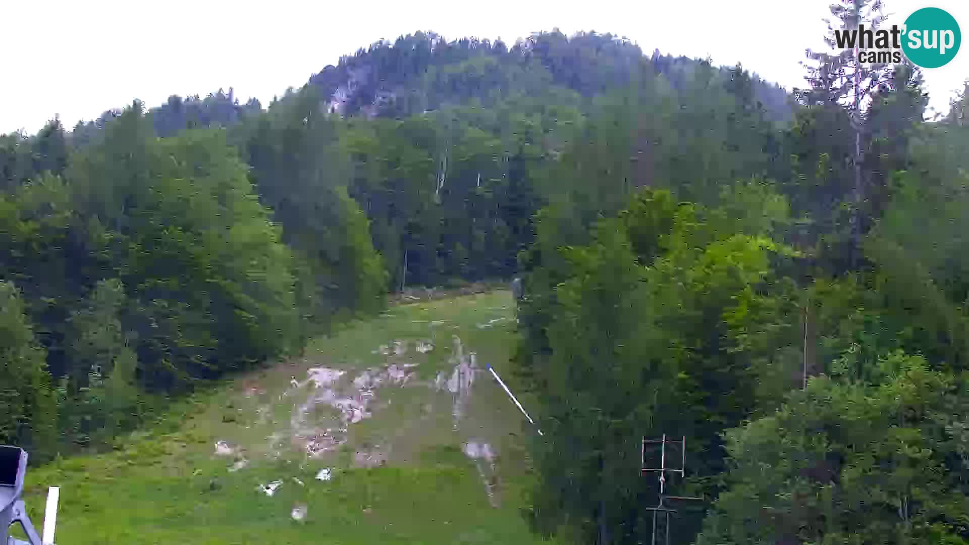 Kranjska Gora livecam VITRANC 1 | estación superior