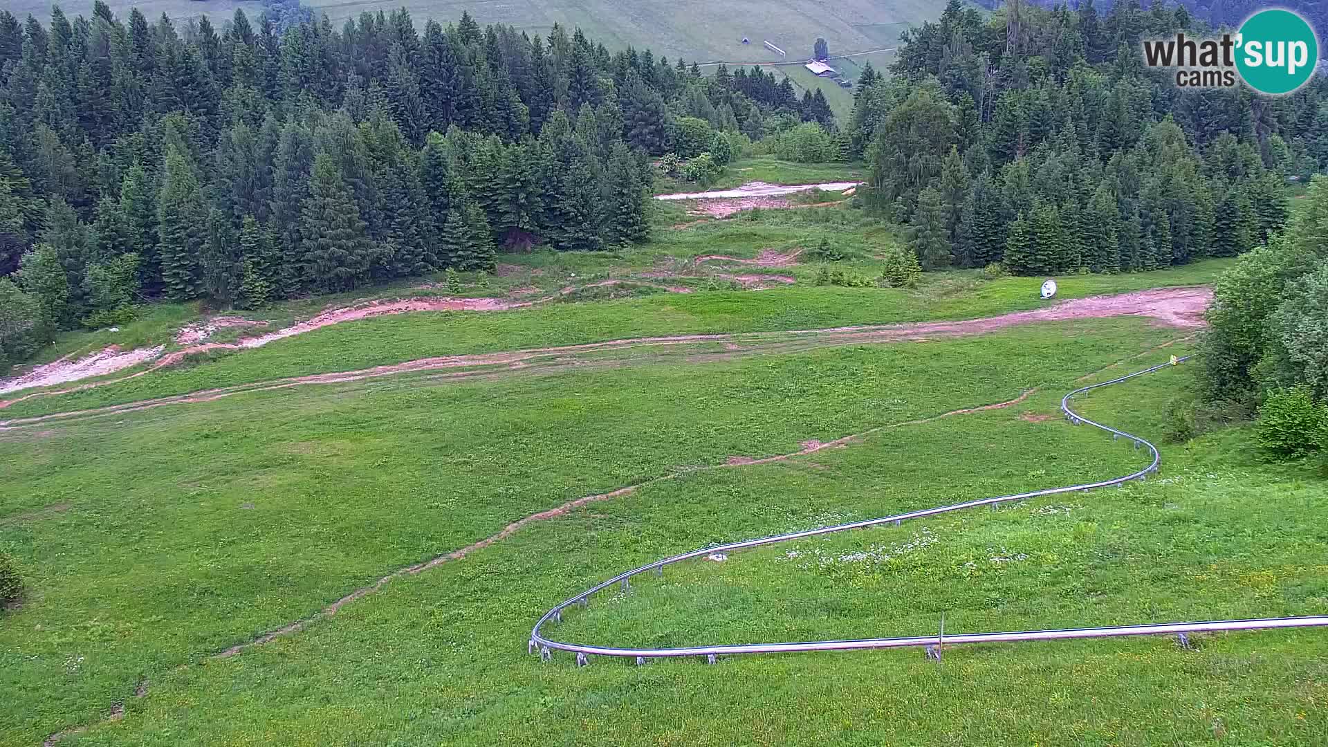 Vitranc Kranjska Gora webcam | VITRANC 1 stazione superiore