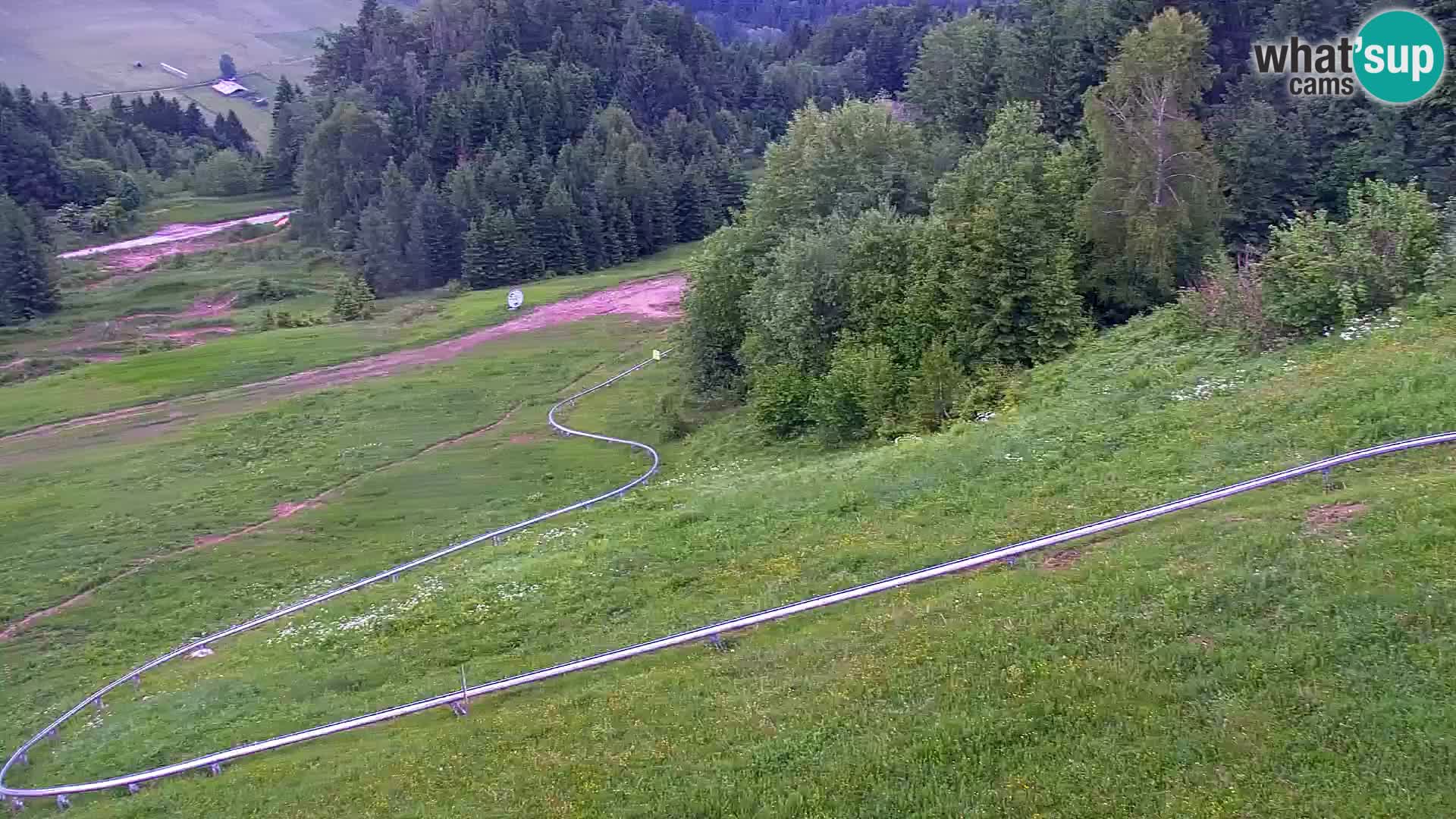 Kranjska Gora livecam VITRANC 1 | estación superior