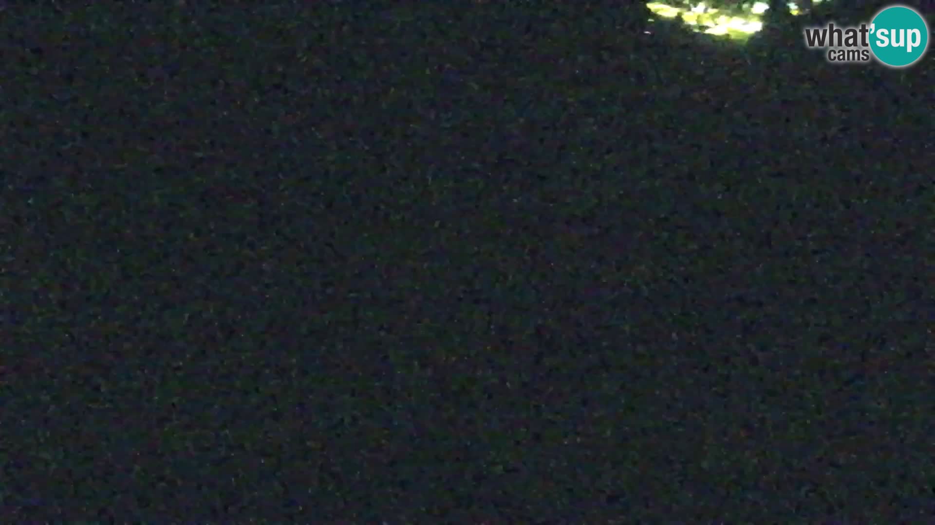 Kranjska Gora kamera VITRANC 1 | Zgornja postaja