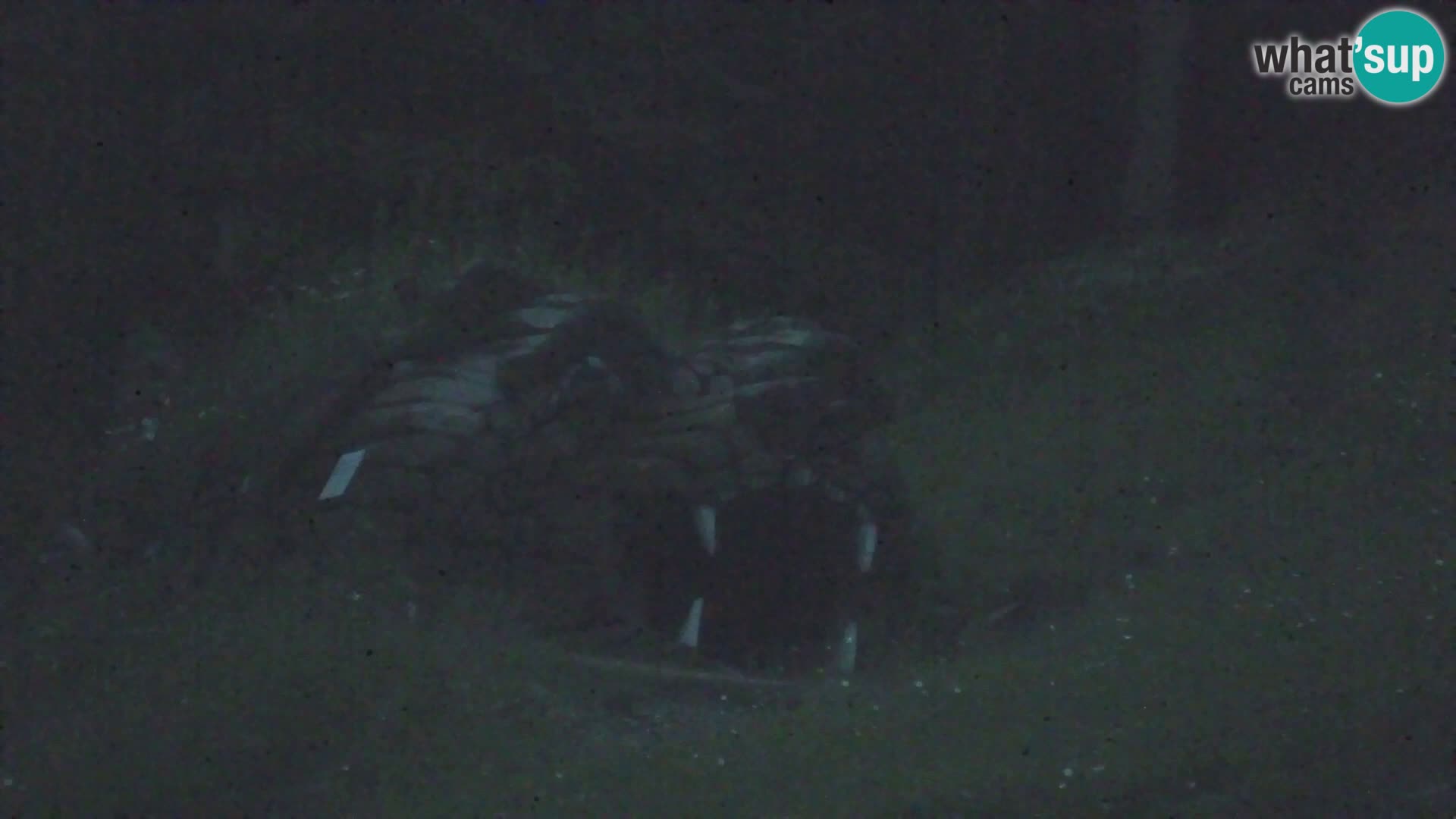 Kranjska Gora livecam VITRANC 1 | estación superior