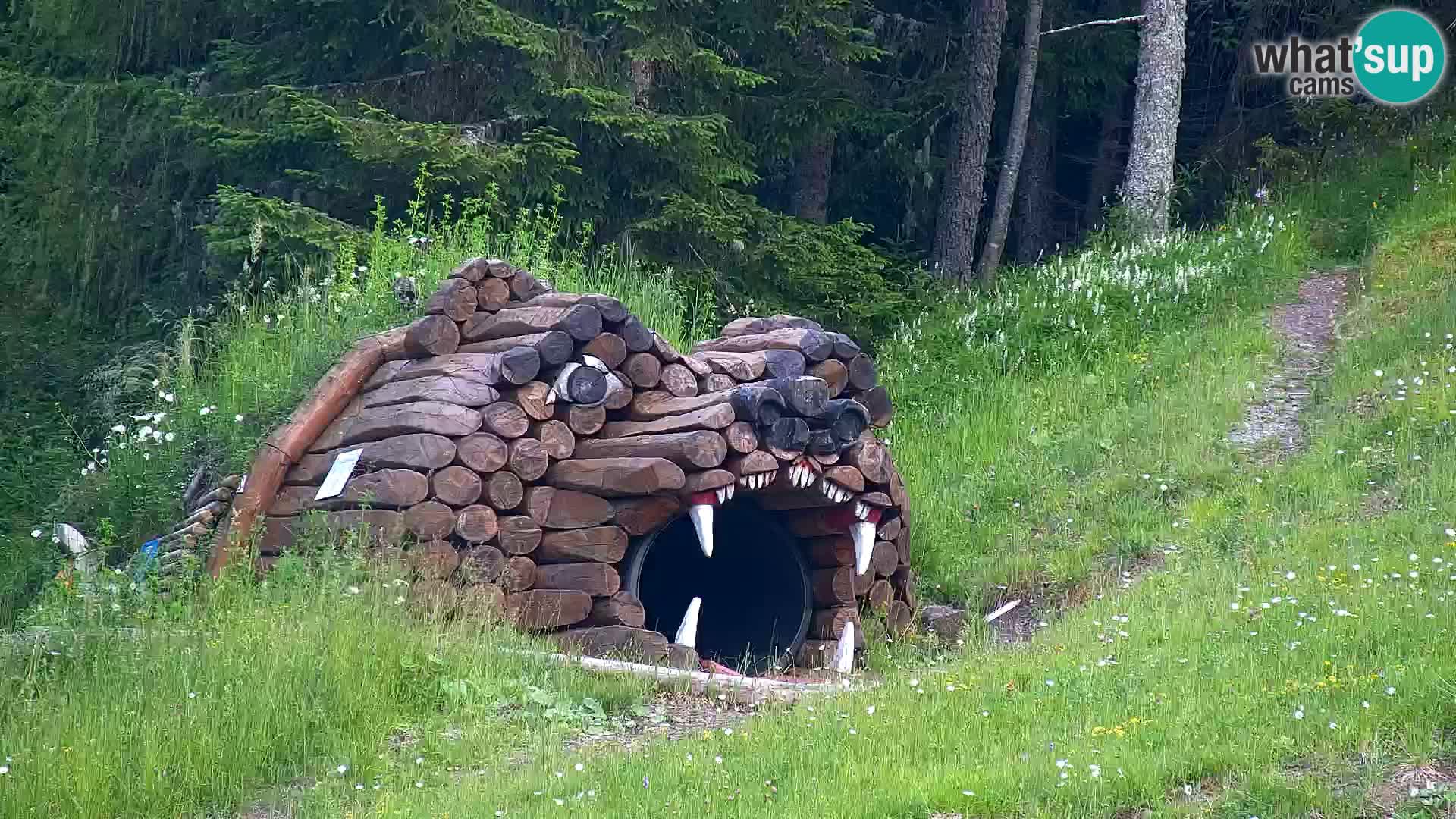 Kranjska Gora livecam VITRANC 1 | estación superior