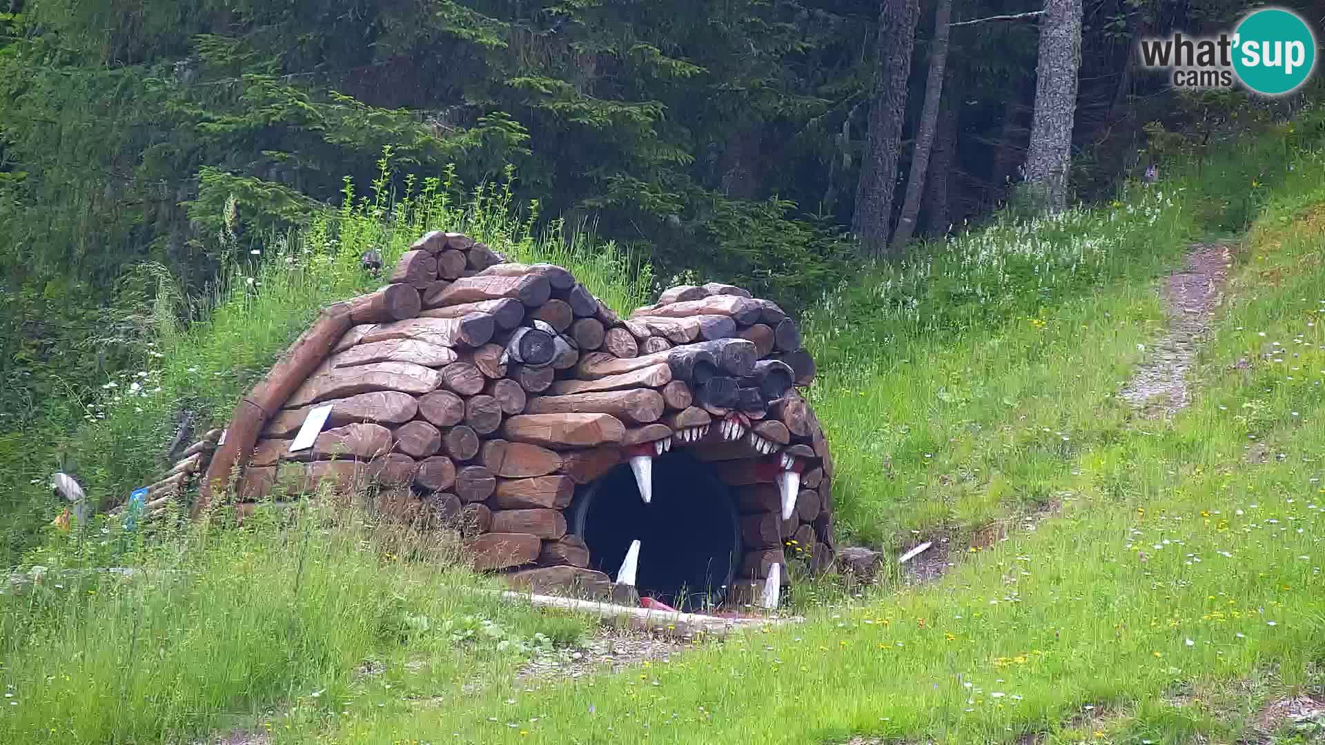 Kranjska Gora kamera VITRANC 1 | Zgornja postaja
