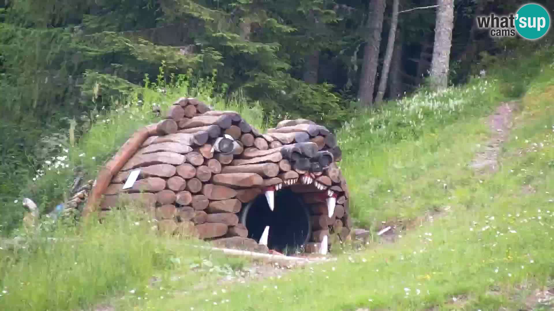 RTC Kranjska Gora – Vitranc