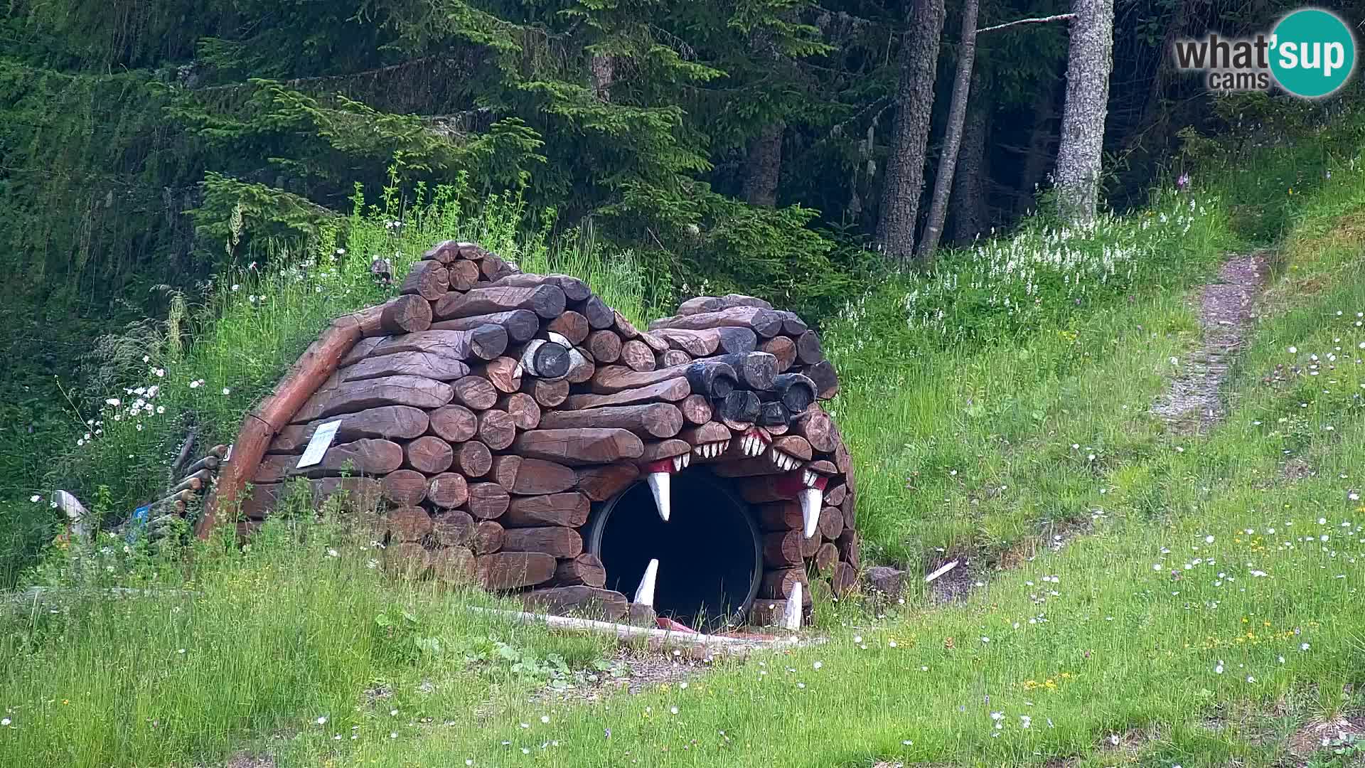 RTC Kranjska Gora – Vitranc