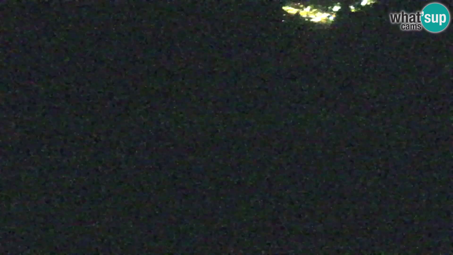 Vitranc Kranjska Gora webcam | VITRANC 1 stazione superiore