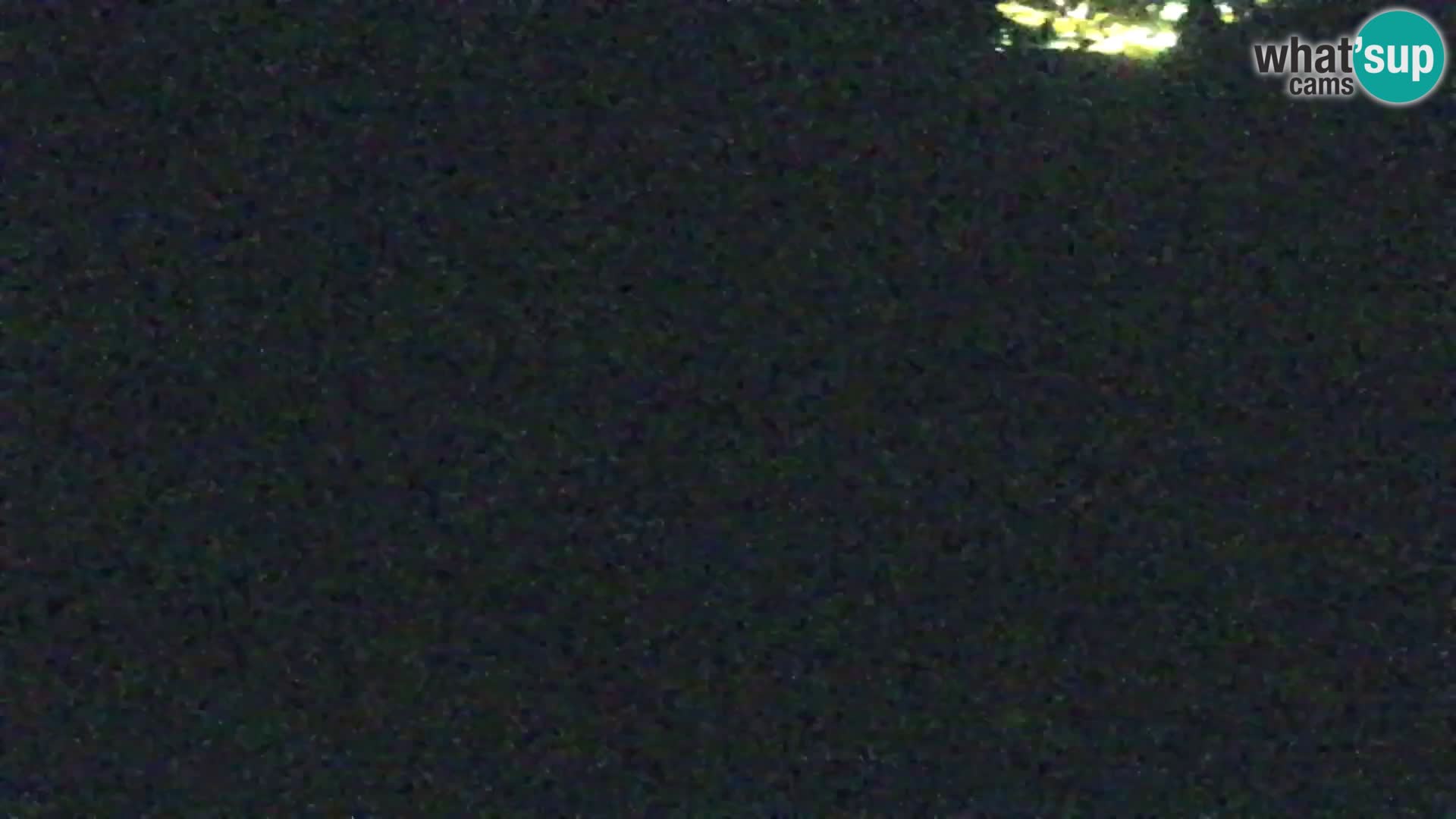 Kranjska Gora web kamera Vitranc | VITRANC 1 gornja postaja