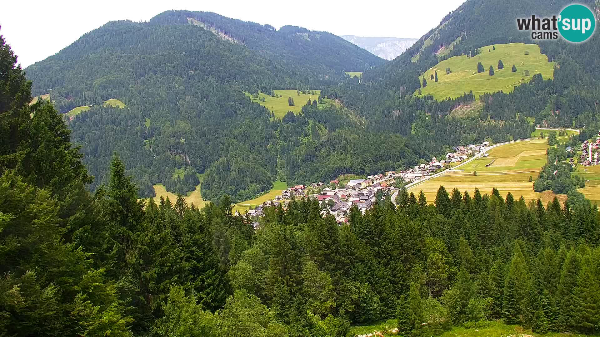 Kranjska Gora livecam VITRANC 1 | estación superior