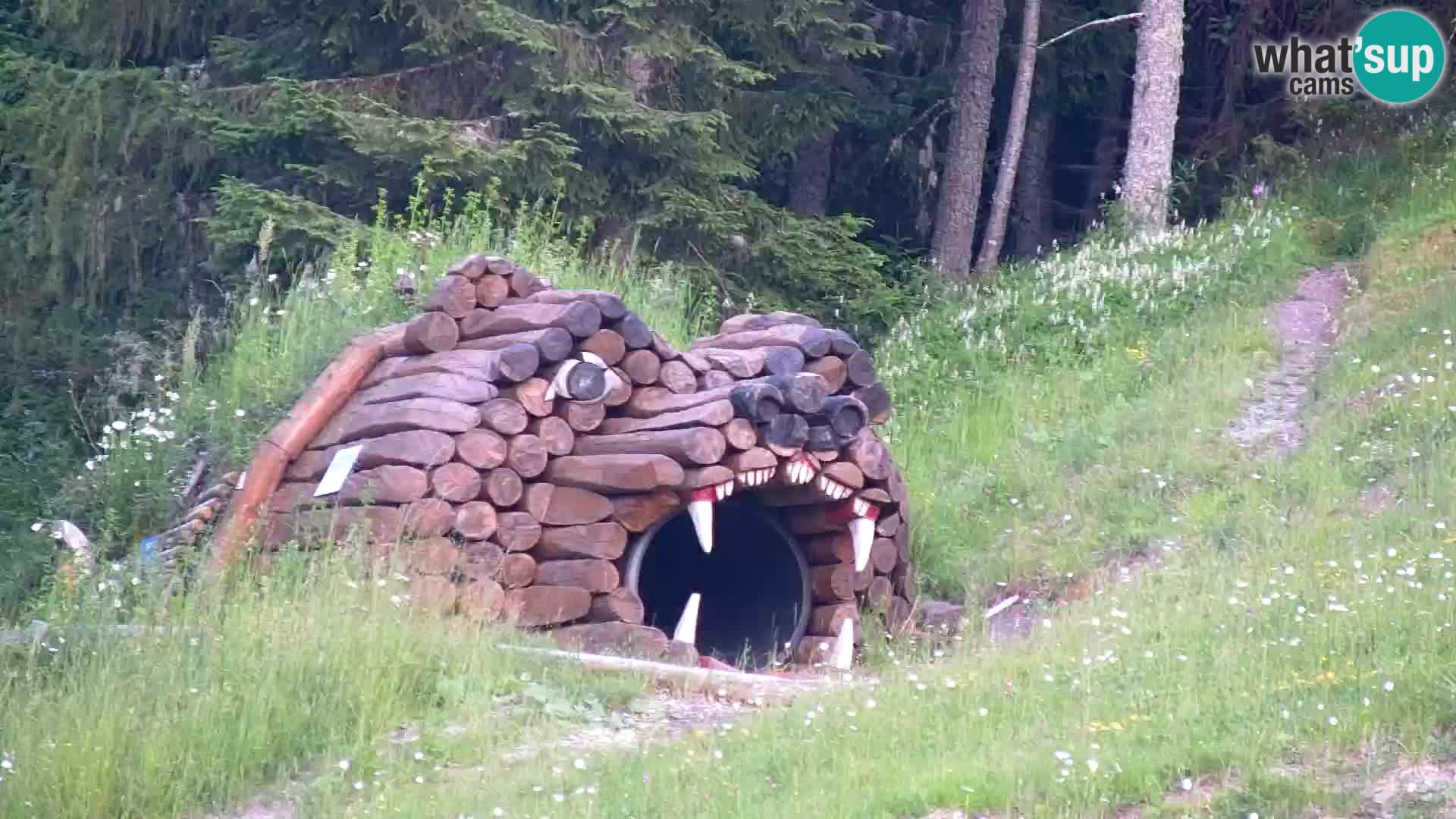 RTC Kranjska Gora – Vitranc