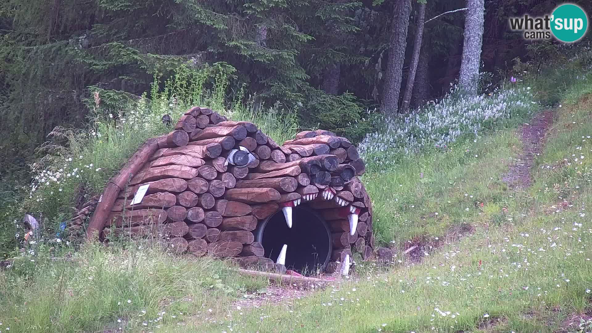 Kranjska Gora kamera VITRANC 1 | Zgornja postaja