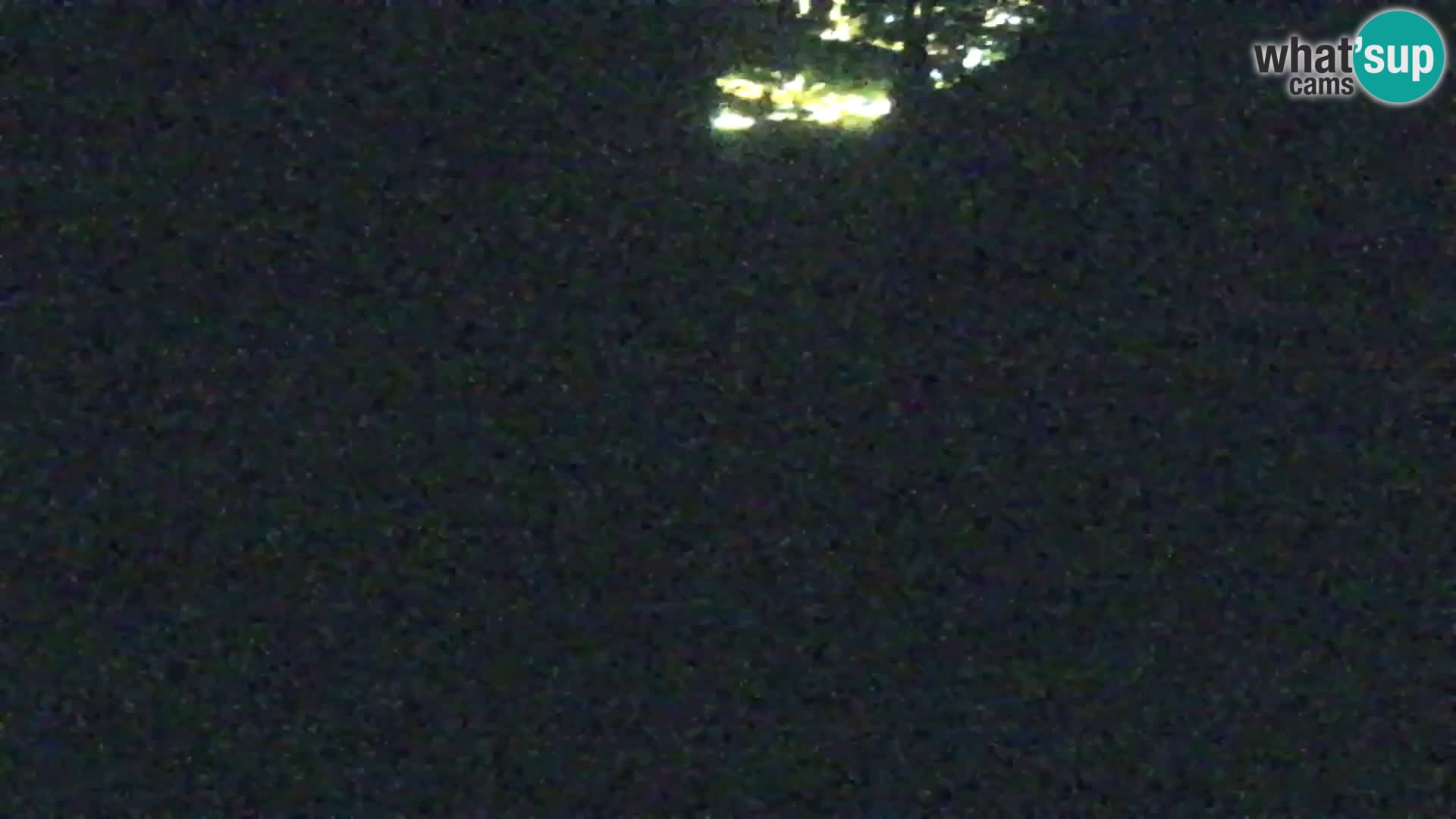 Kranjska Gora livecam VITRANC 1 | estación superior