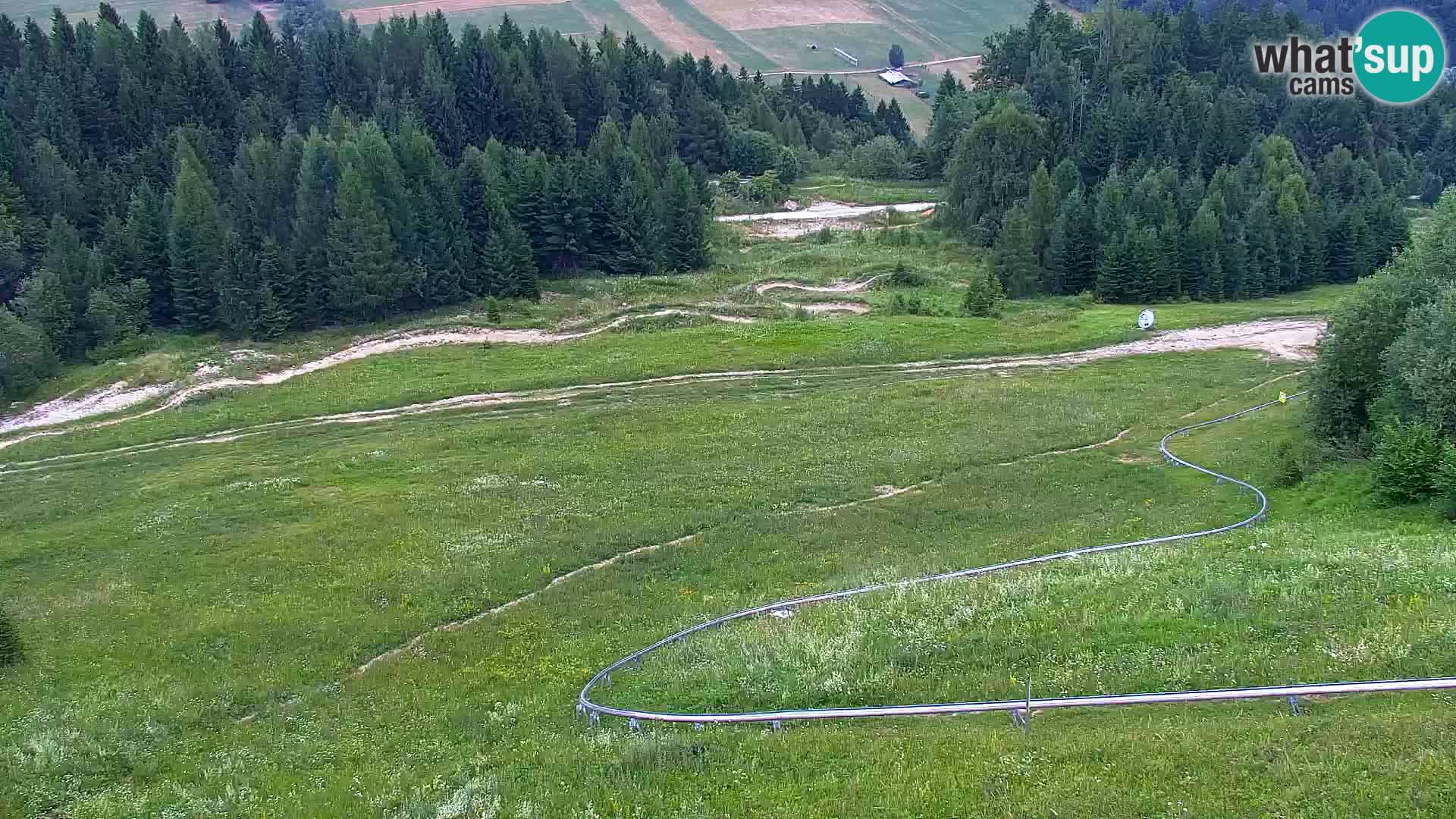 Vitranc Kranjska Gora webcam | VITRANC 1 stazione superiore