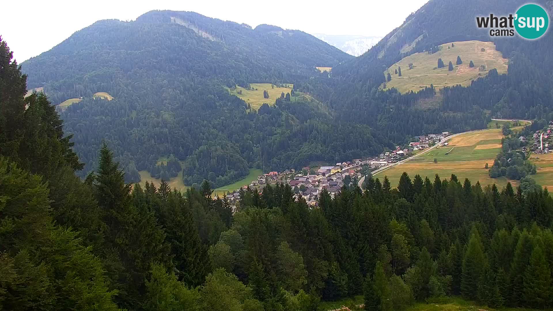Vitranc Kranjska Gora webcam | VITRANC 1 stazione superiore