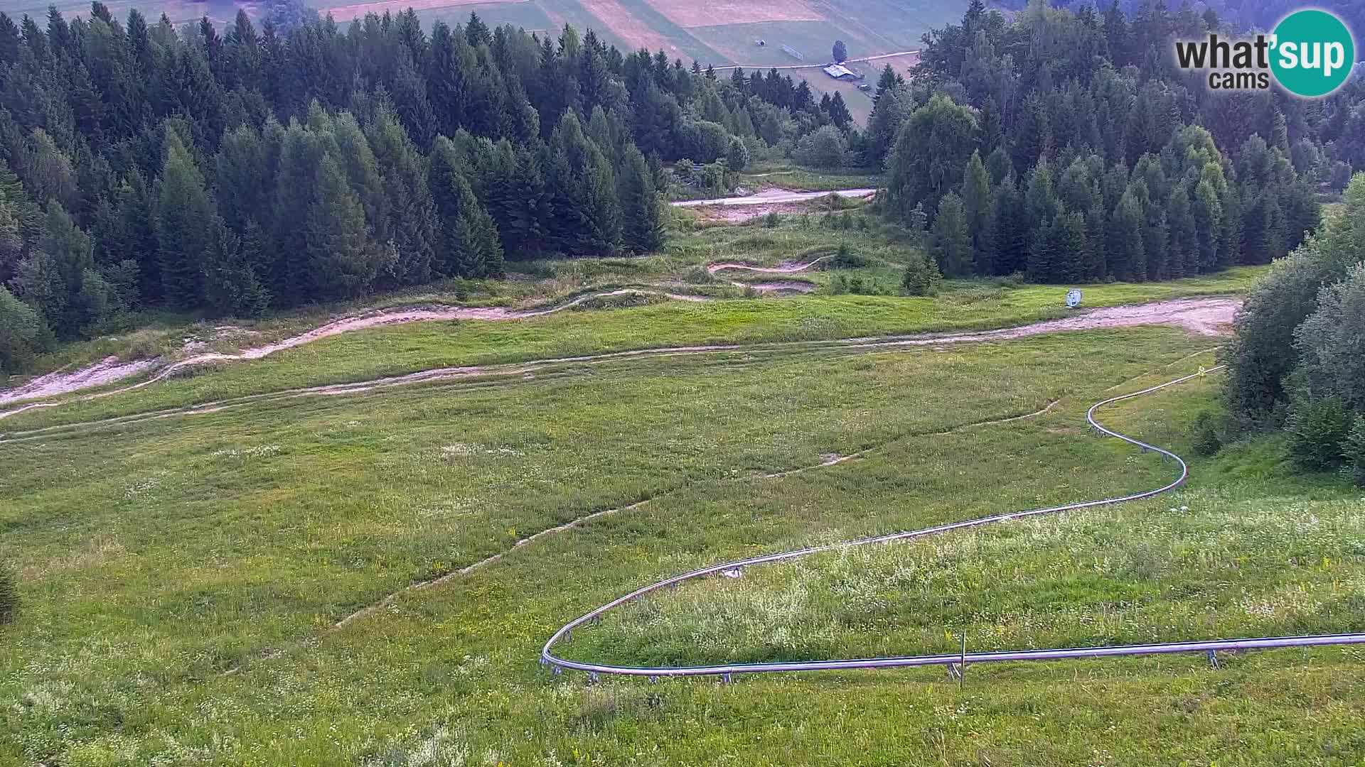 Vitranc Kranjska Gora webcam | VITRANC 1 stazione superiore