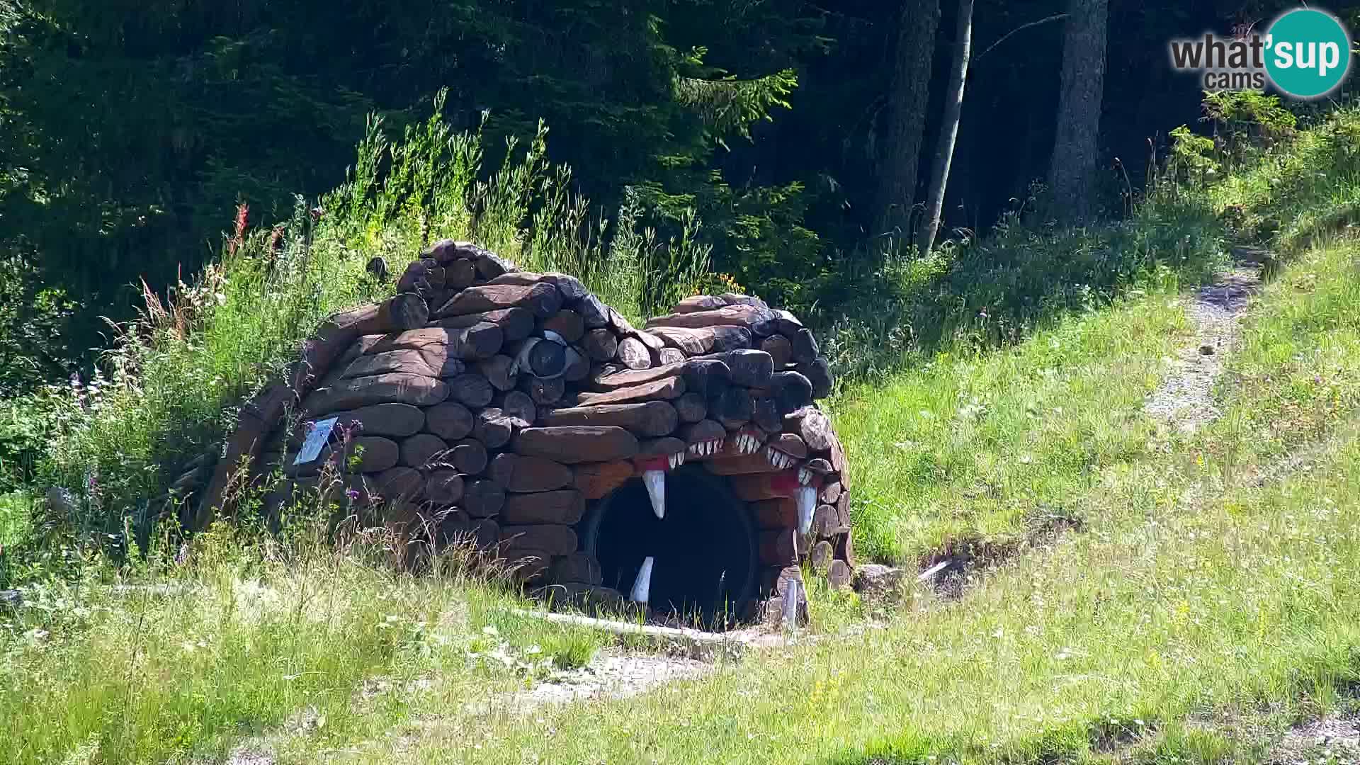 RTC Kranjska Gora – Vitranc