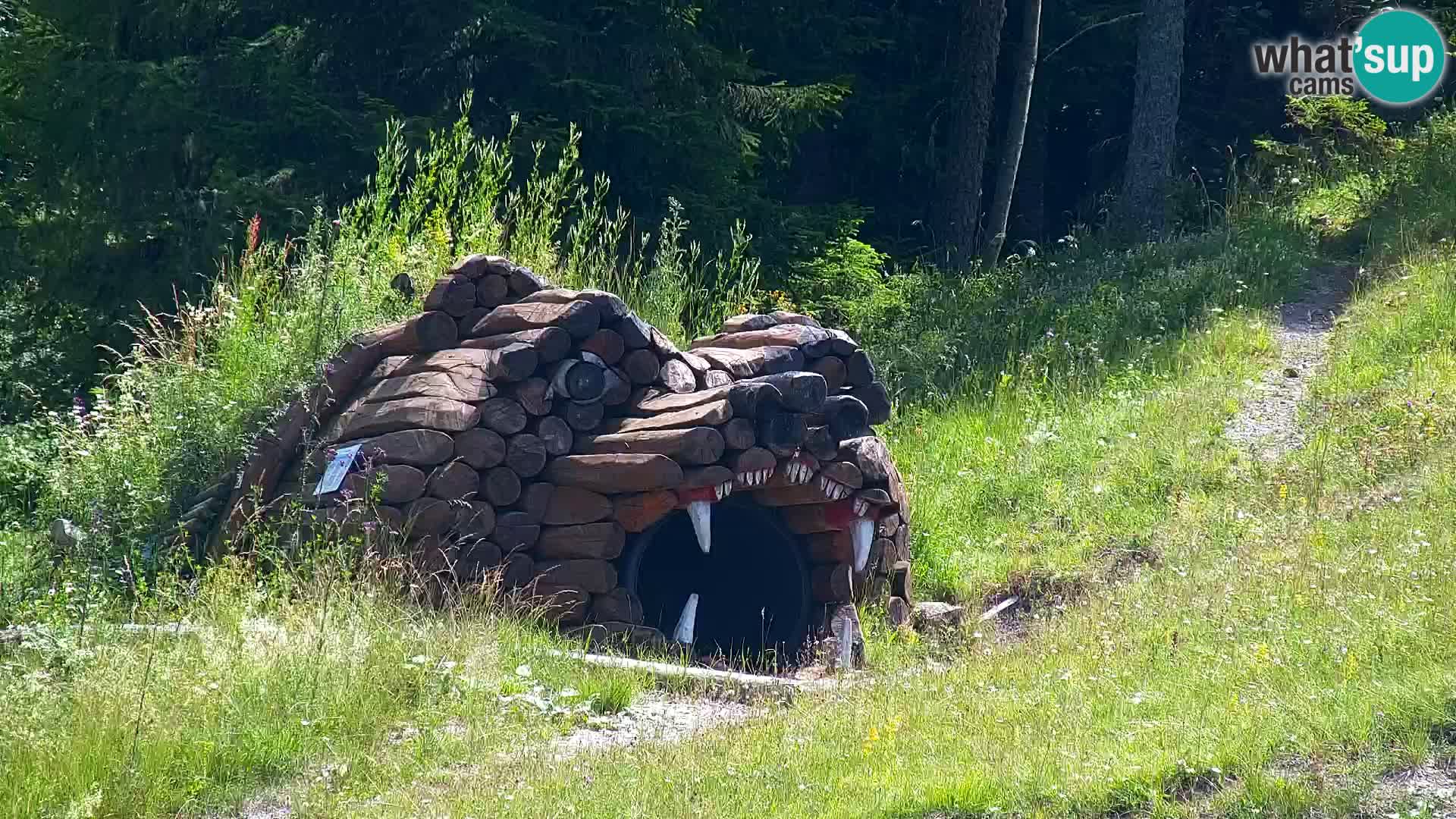 RTC Kranjska Gora – Vitranc