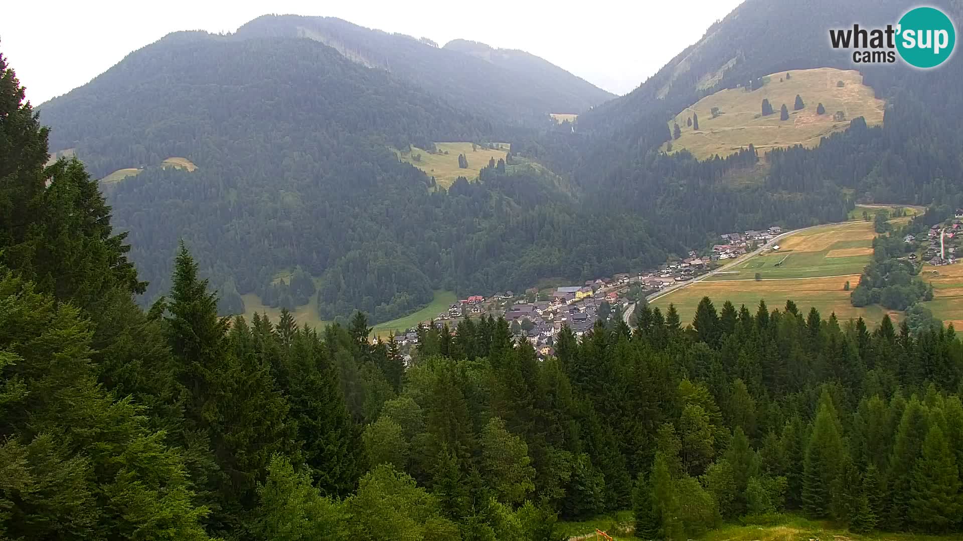 Vitranc Kranjska Gora webcam | VITRANC 1 stazione superiore