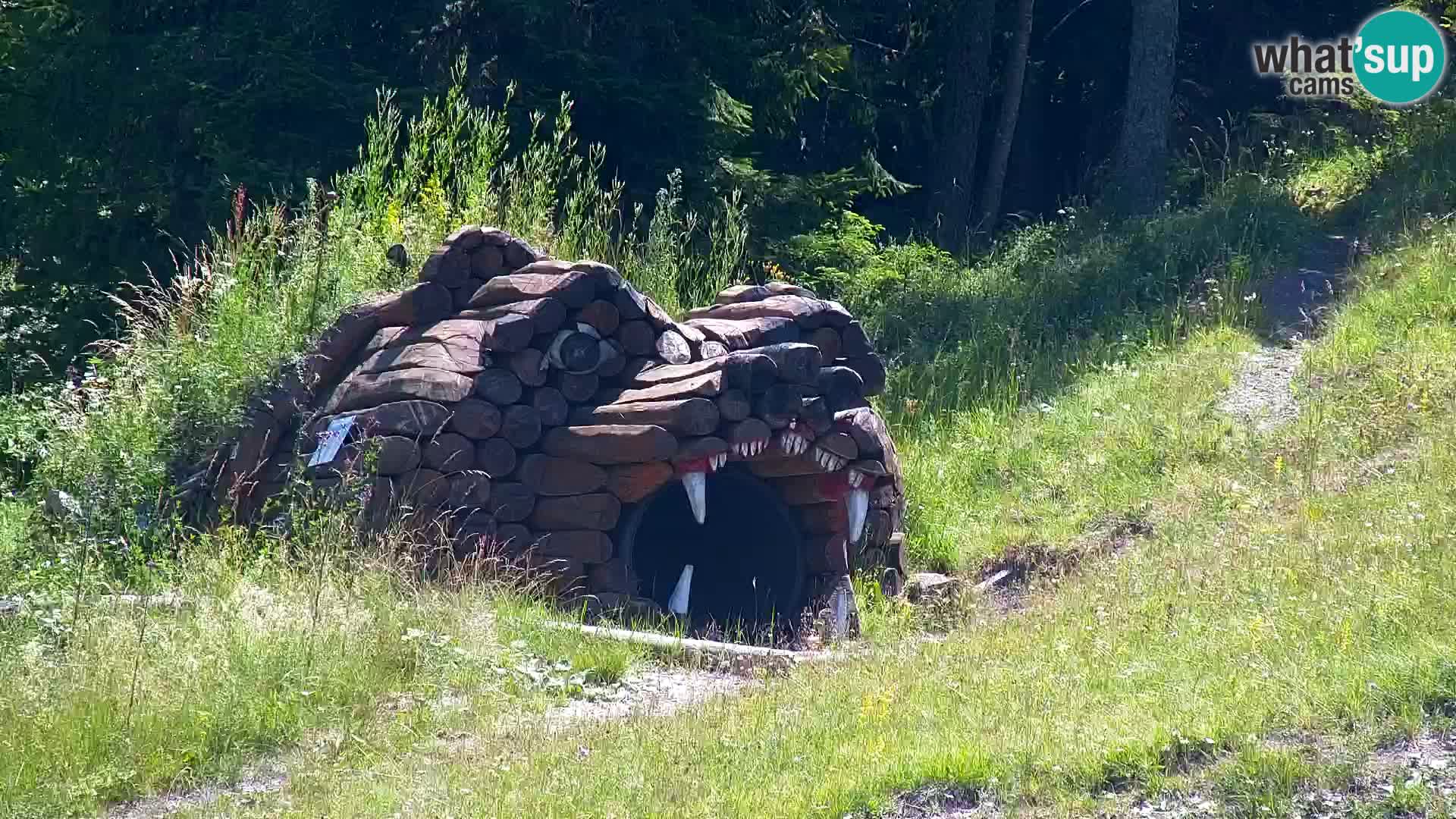 Kranjska Gora web kamera Vitranc | VITRANC 1 gornja postaja