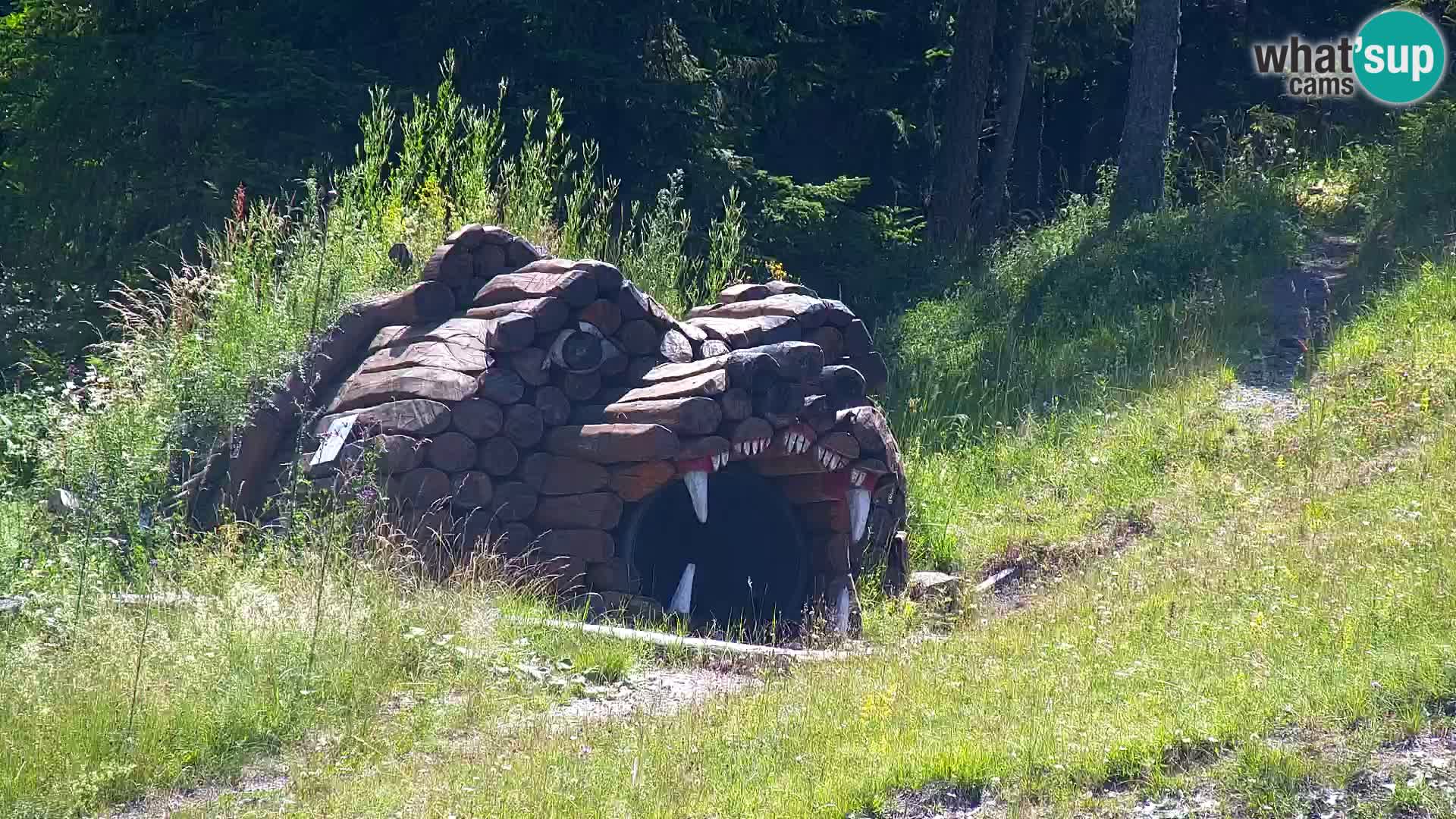 Kranjska Gora web kamera Vitranc | VITRANC 1 gornja postaja