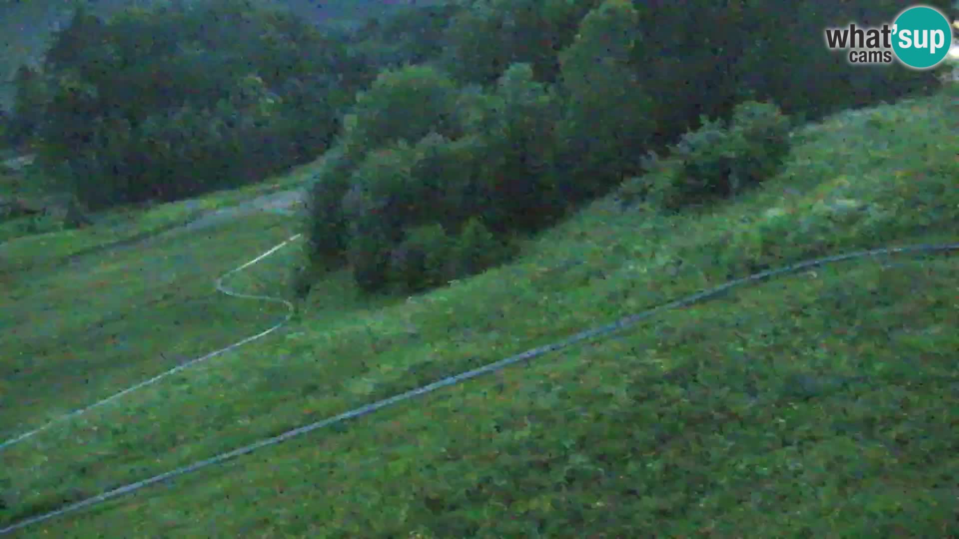 Vitranc Kranjska Gora webcam | VITRANC 1 stazione superiore