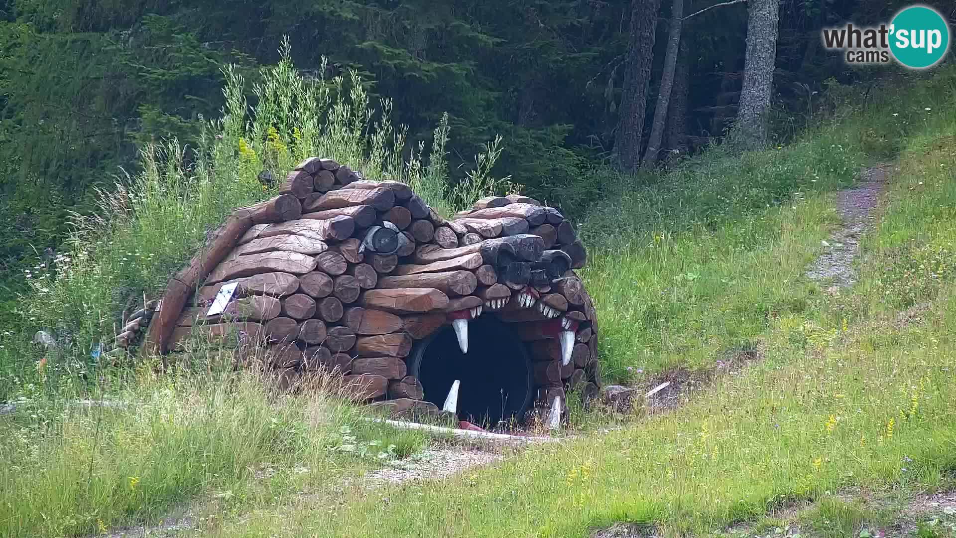 RTC Kranjska Gora – Vitranc