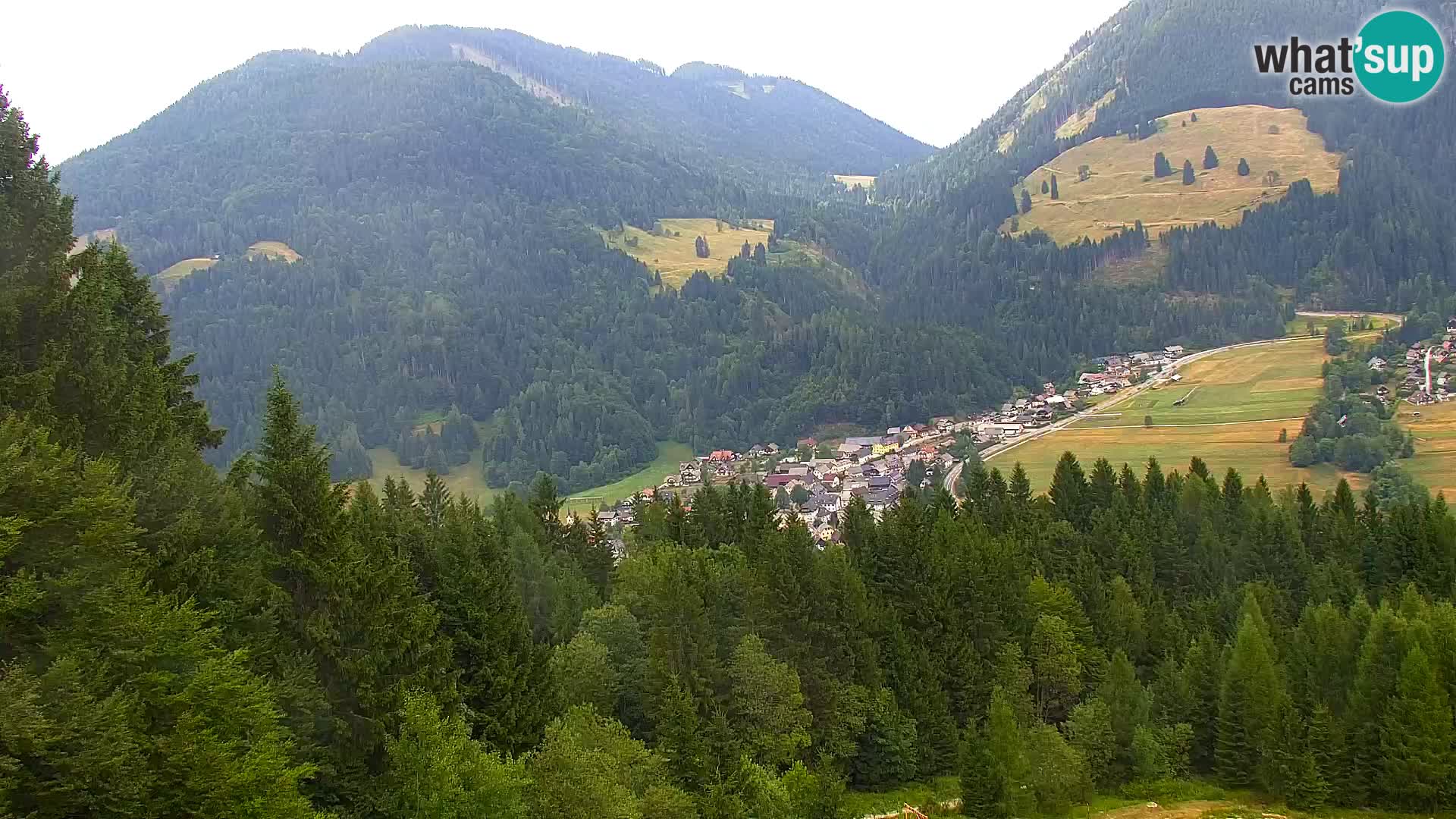 Vitranc Kranjska Gora webcam | VITRANC 1 stazione superiore