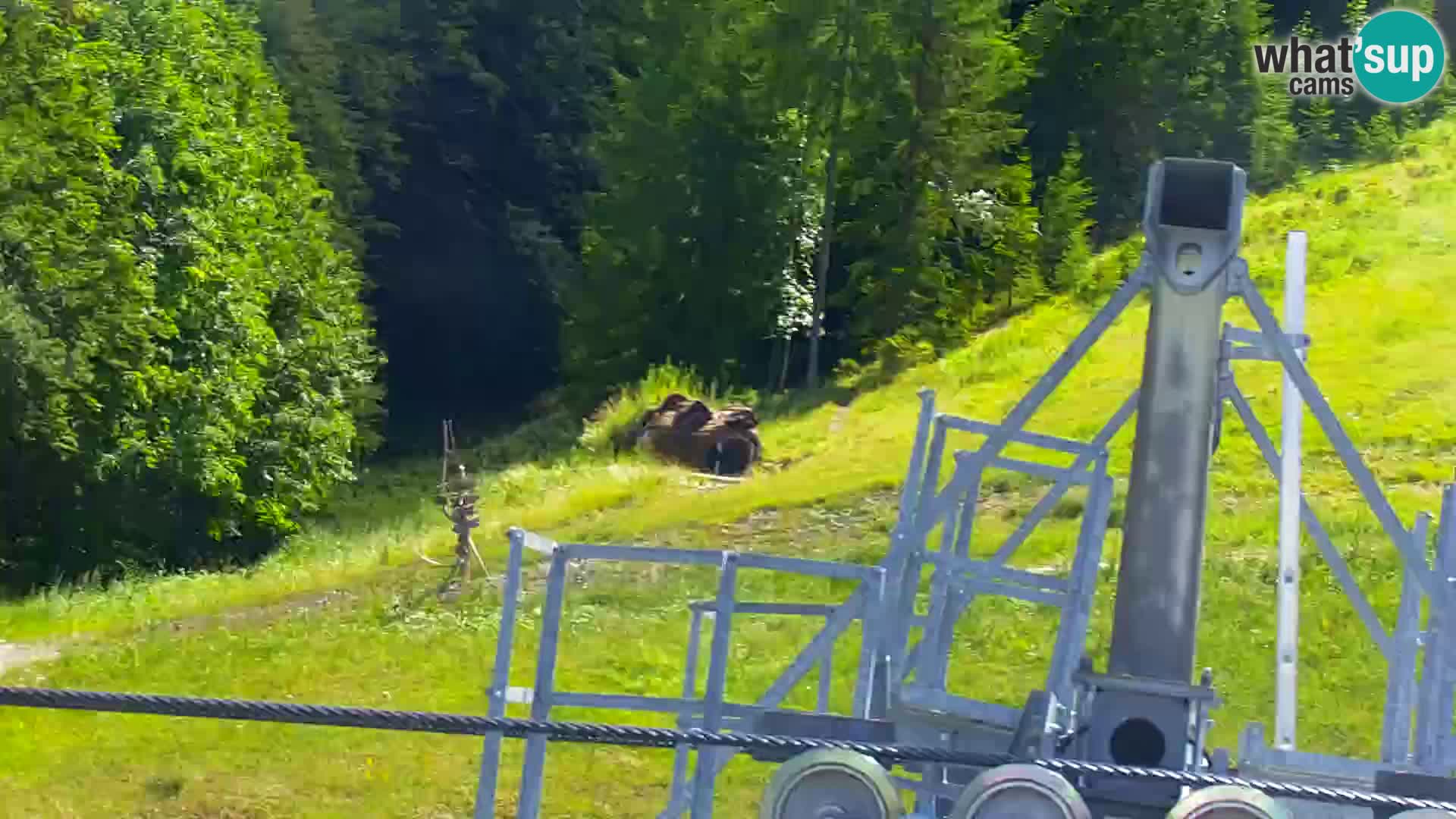 Kranjska Gora livecam VITRANC 1 | estación superior