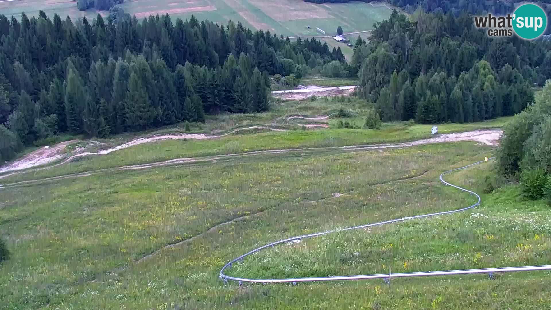 Vitranc Kranjska Gora webcam | VITRANC 1 stazione superiore