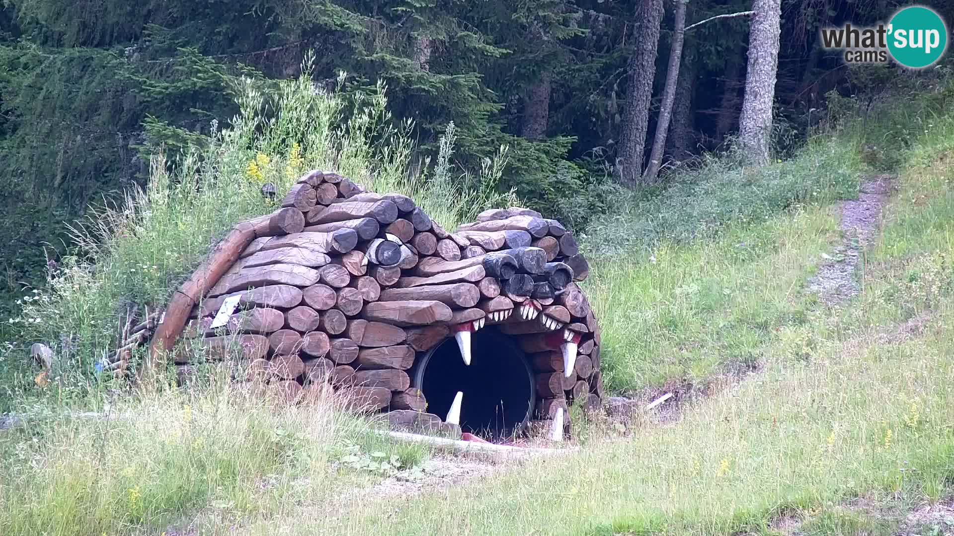 Kranjska Gora kamera VITRANC 1 | Zgornja postaja