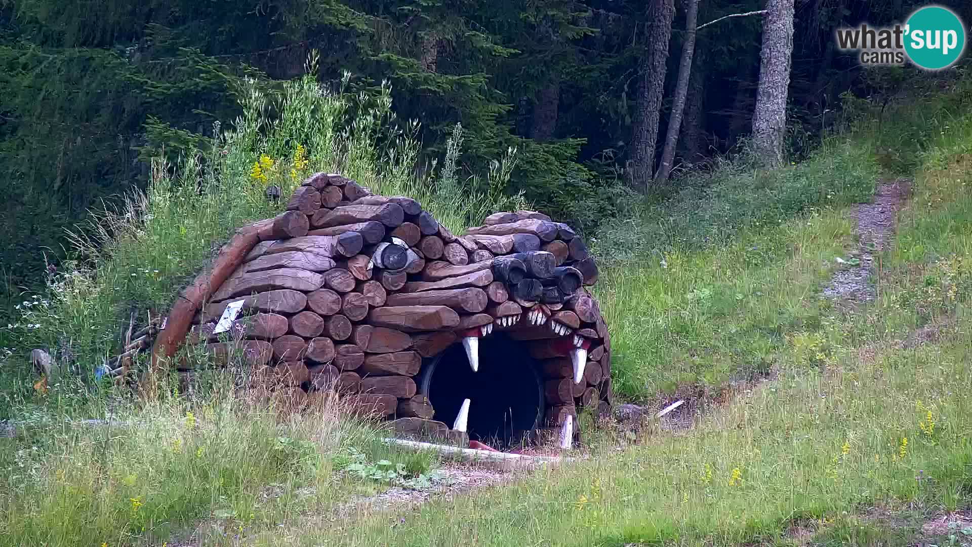 RTC Kranjska Gora – Vitranc