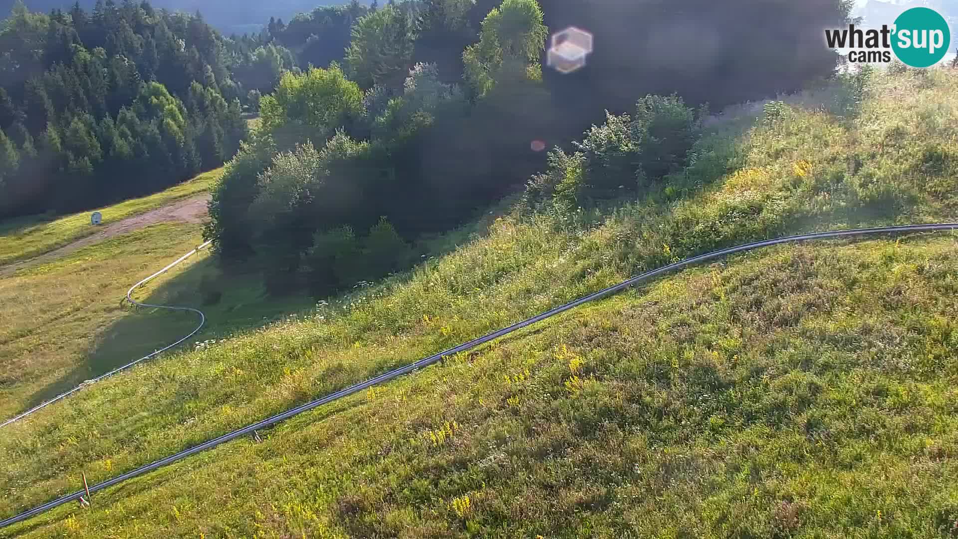 Vitranc Kranjska Gora webcam | VITRANC 1 stazione superiore