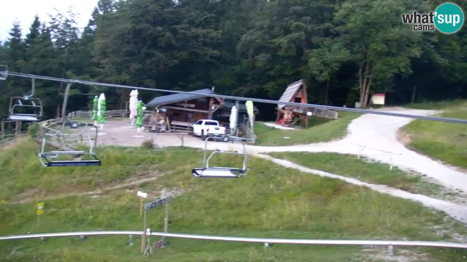 Vitranc Kranjska Gora webcam | VITRANC 1 stazione superiore