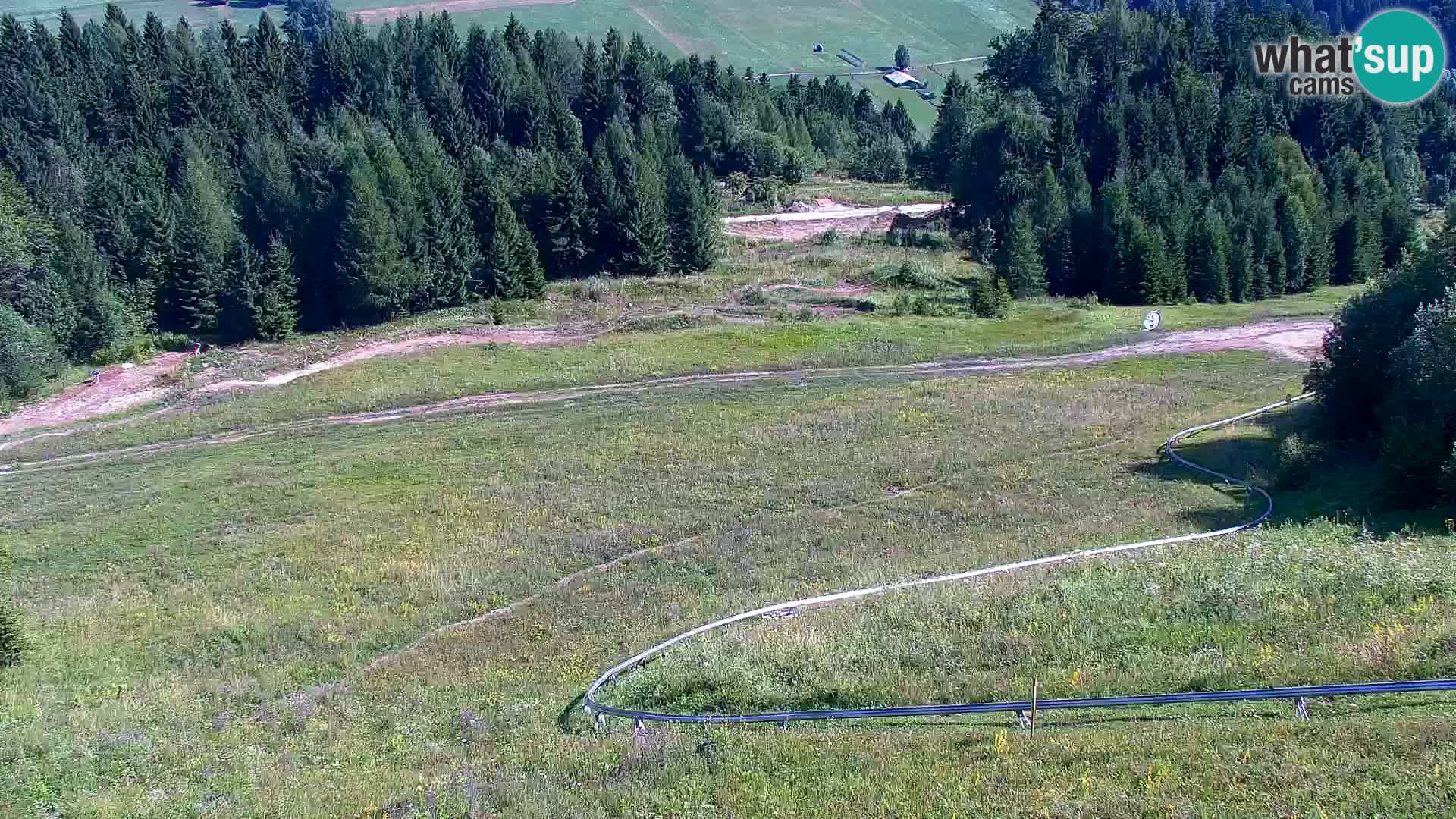 Kranjska Gora livecam VITRANC 1 | estación superior
