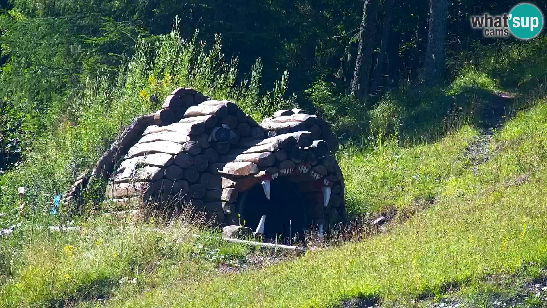 RTC Kranjska Gora – Vitranc