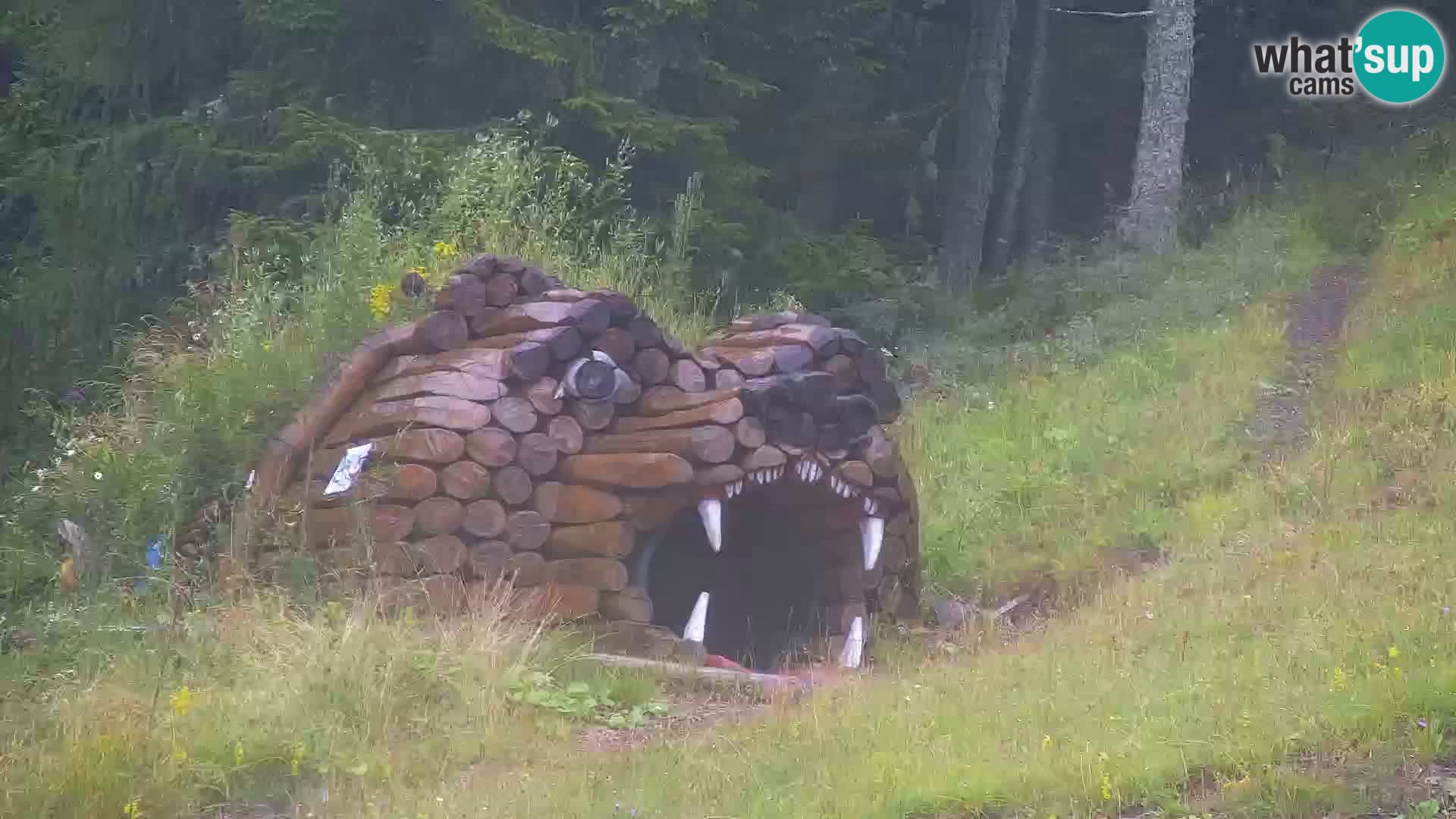 Kranjska Gora web kamera Vitranc | VITRANC 1 gornja postaja