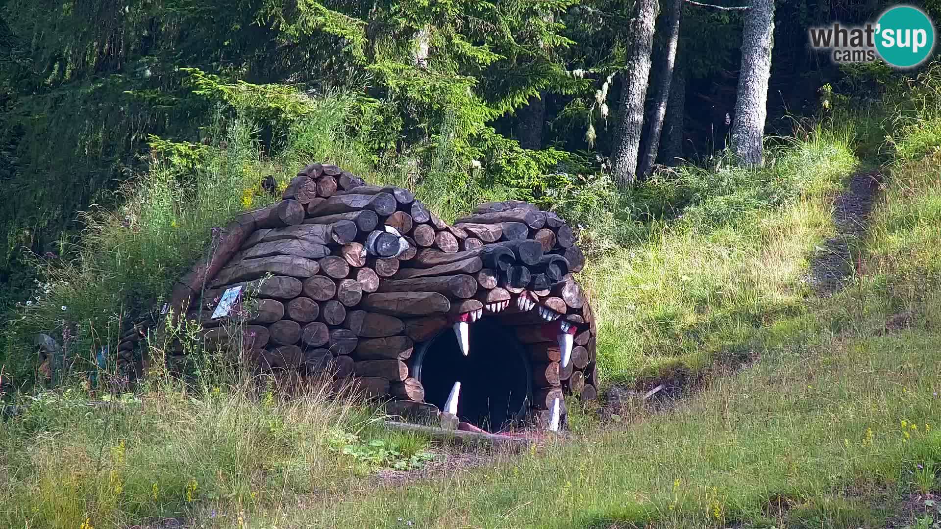 Kranjska Gora kamera VITRANC 1 | Zgornja postaja