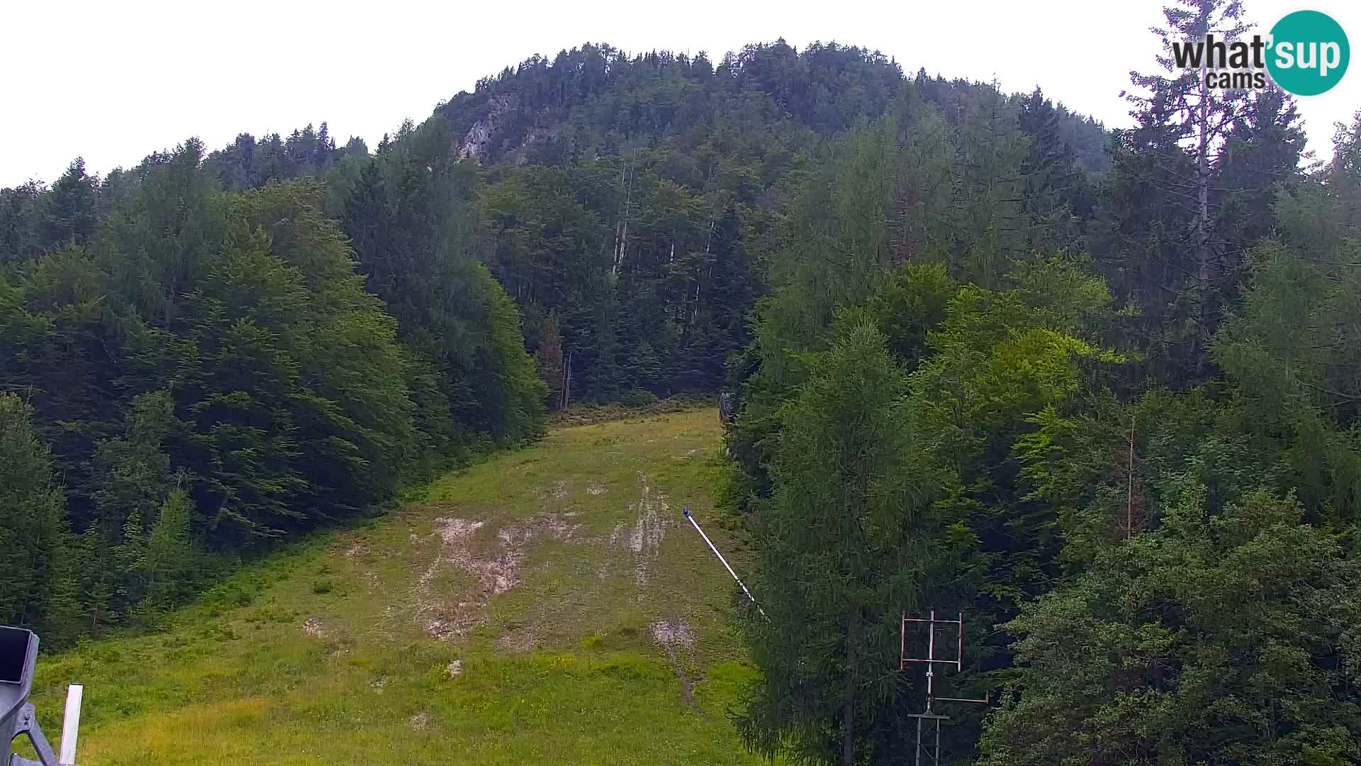 Vitranc Kranjska Gora webcam | VITRANC 1 stazione superiore