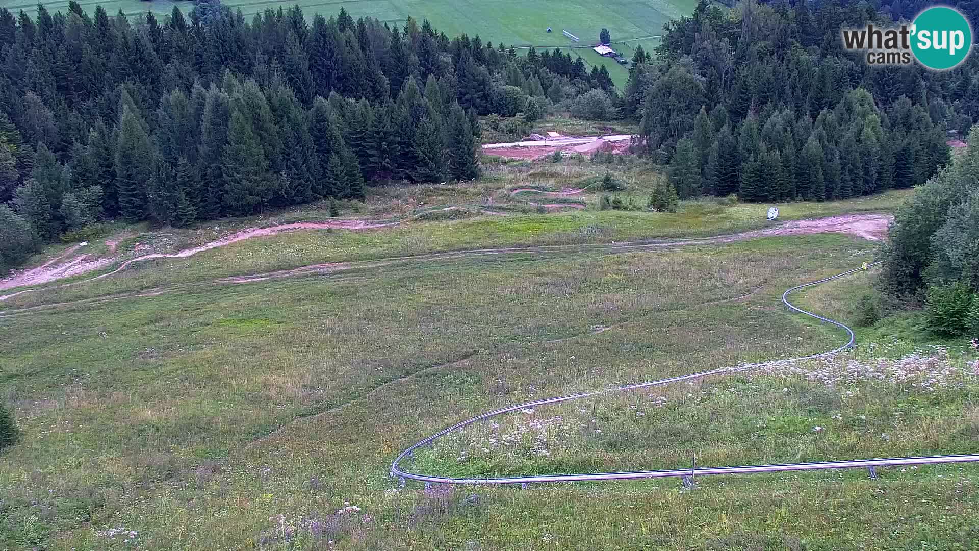Vitranc Kranjska Gora webcam | VITRANC 1 stazione superiore