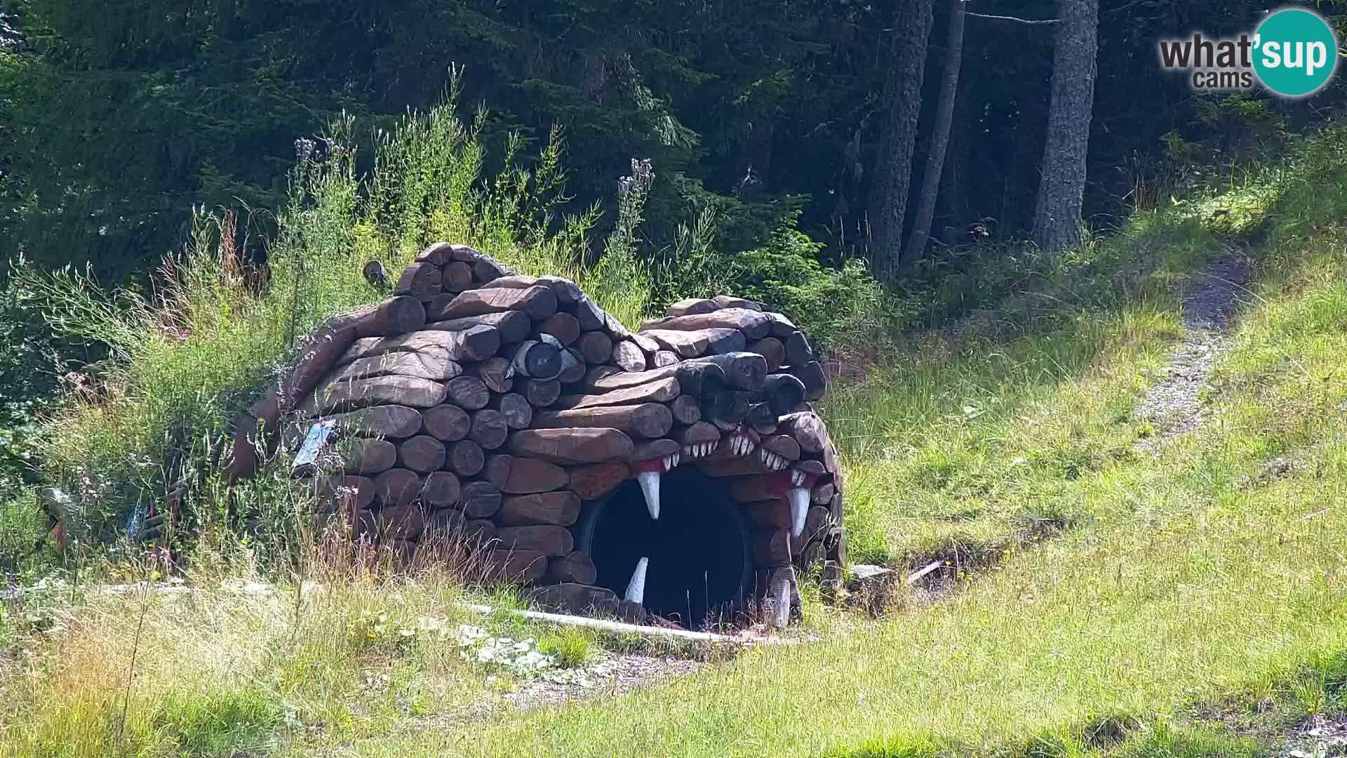 Kranjska Gora kamera VITRANC 1 | Zgornja postaja